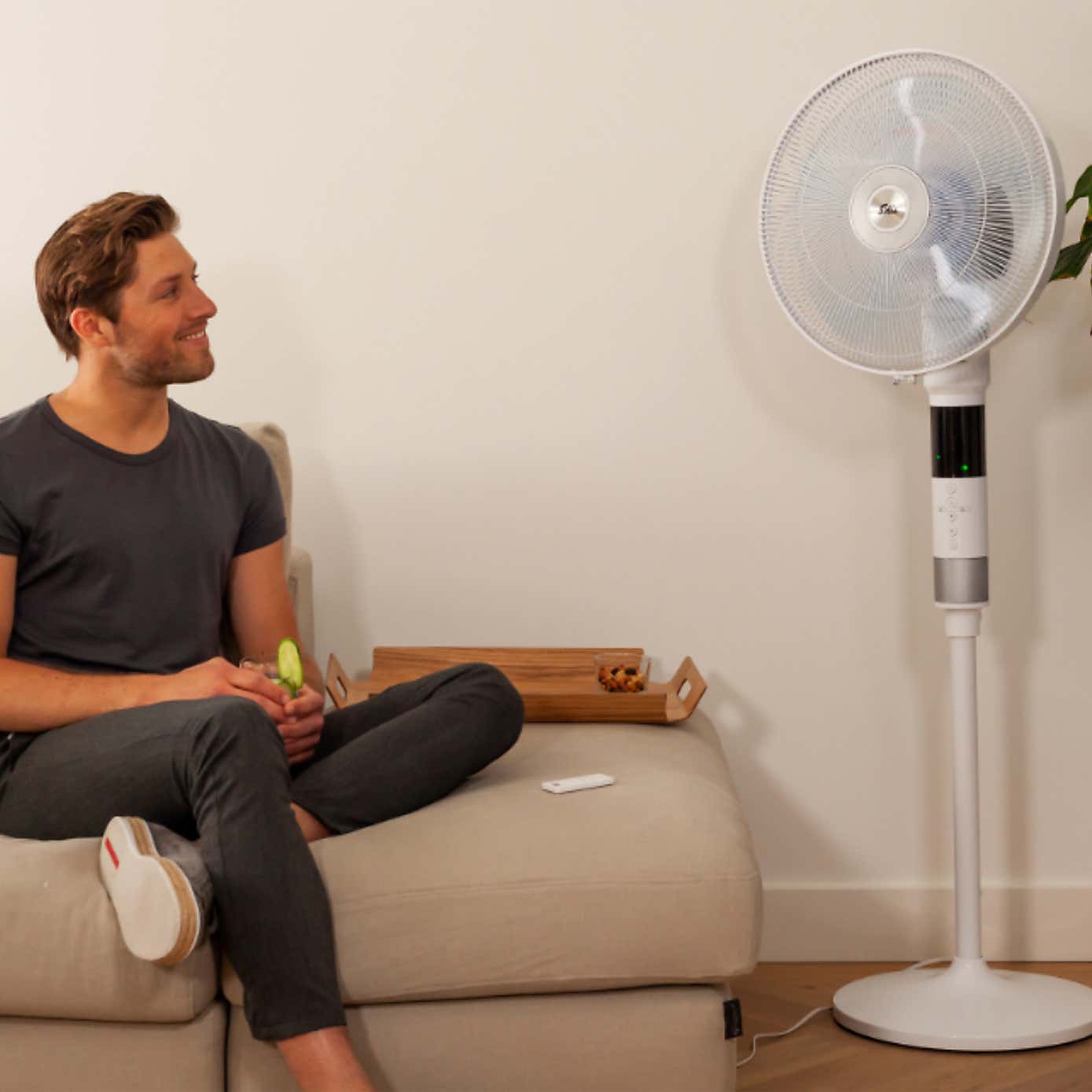Solis Breeze 360 Stand Fan