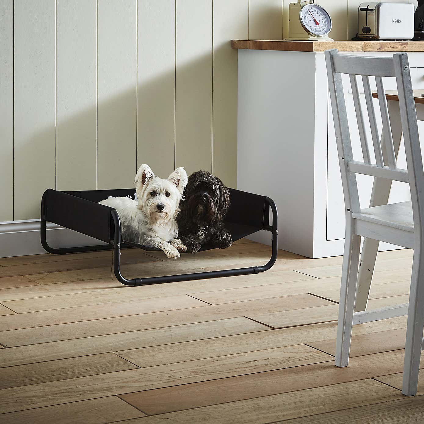 Bunty Black Waterproof Raised Dog Bed