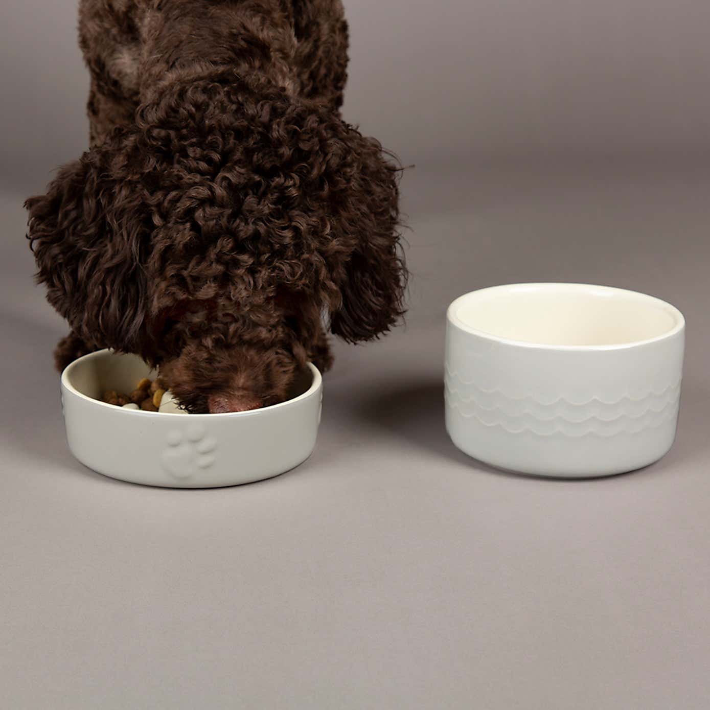Scruffs Icon Slow Feeder and Drink Bowl Set