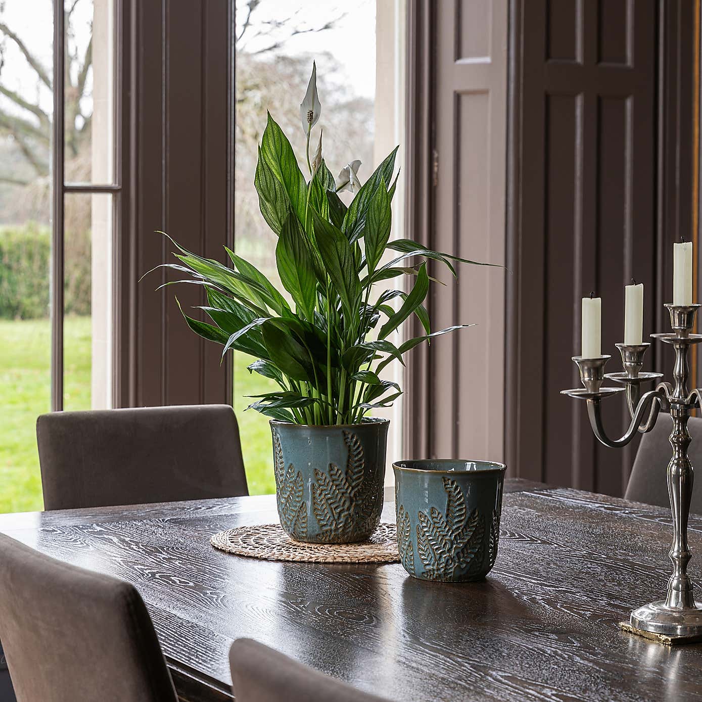 Kew Embossed Fern Planter