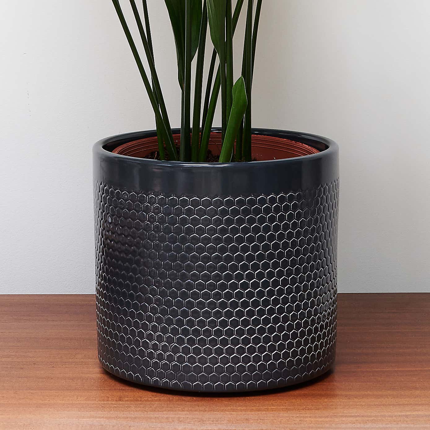 Beards & Daisies Cast Iron House Plant in Capri Pot