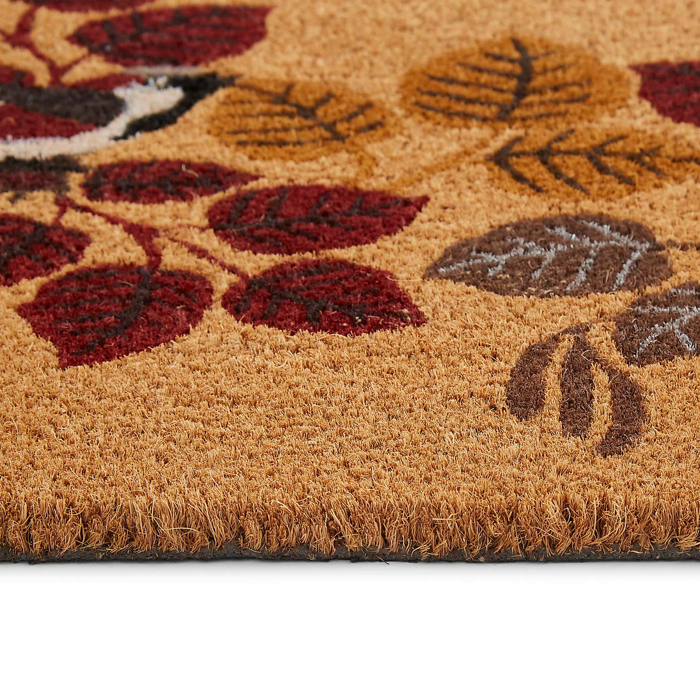 Sparrow Coir Outdoor Doormat