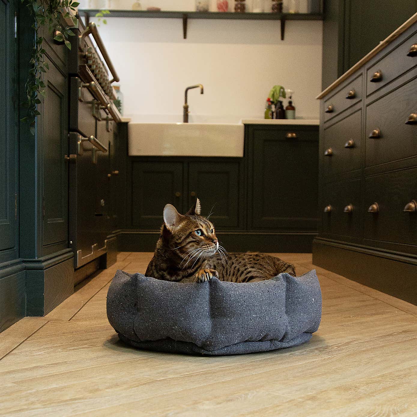 Scruffs 100% Recycled Eden Cat Small Dog Bed