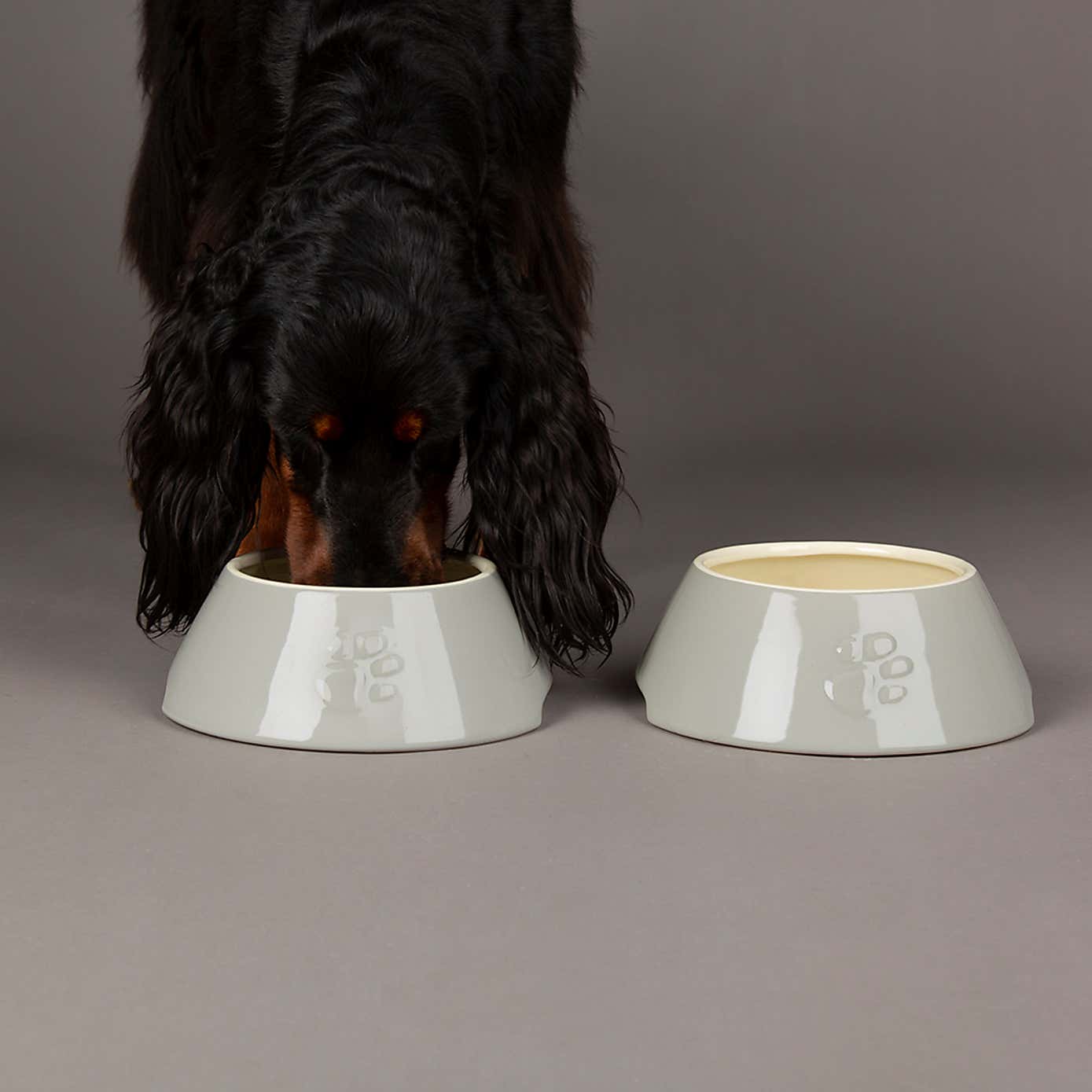 Scruffs Set of 2 Long Eared Dog Bowls