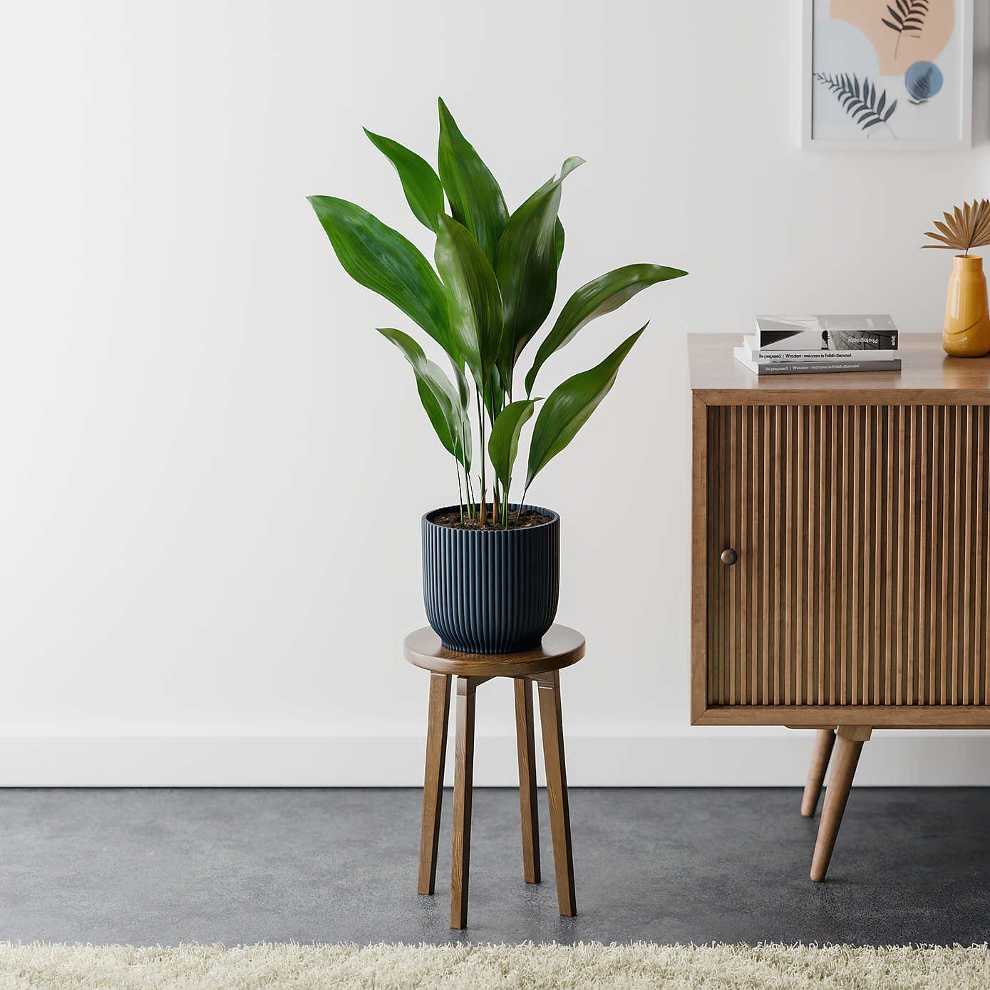 Beards & Daisies Cast Iron House Plant in Vibes Pot