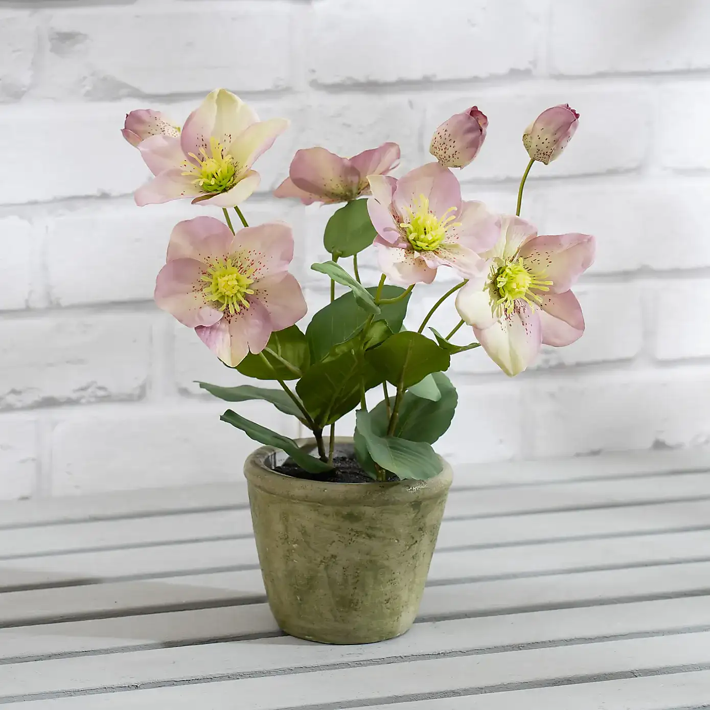 Artificial Hellebore in Terracotta Plant Pot