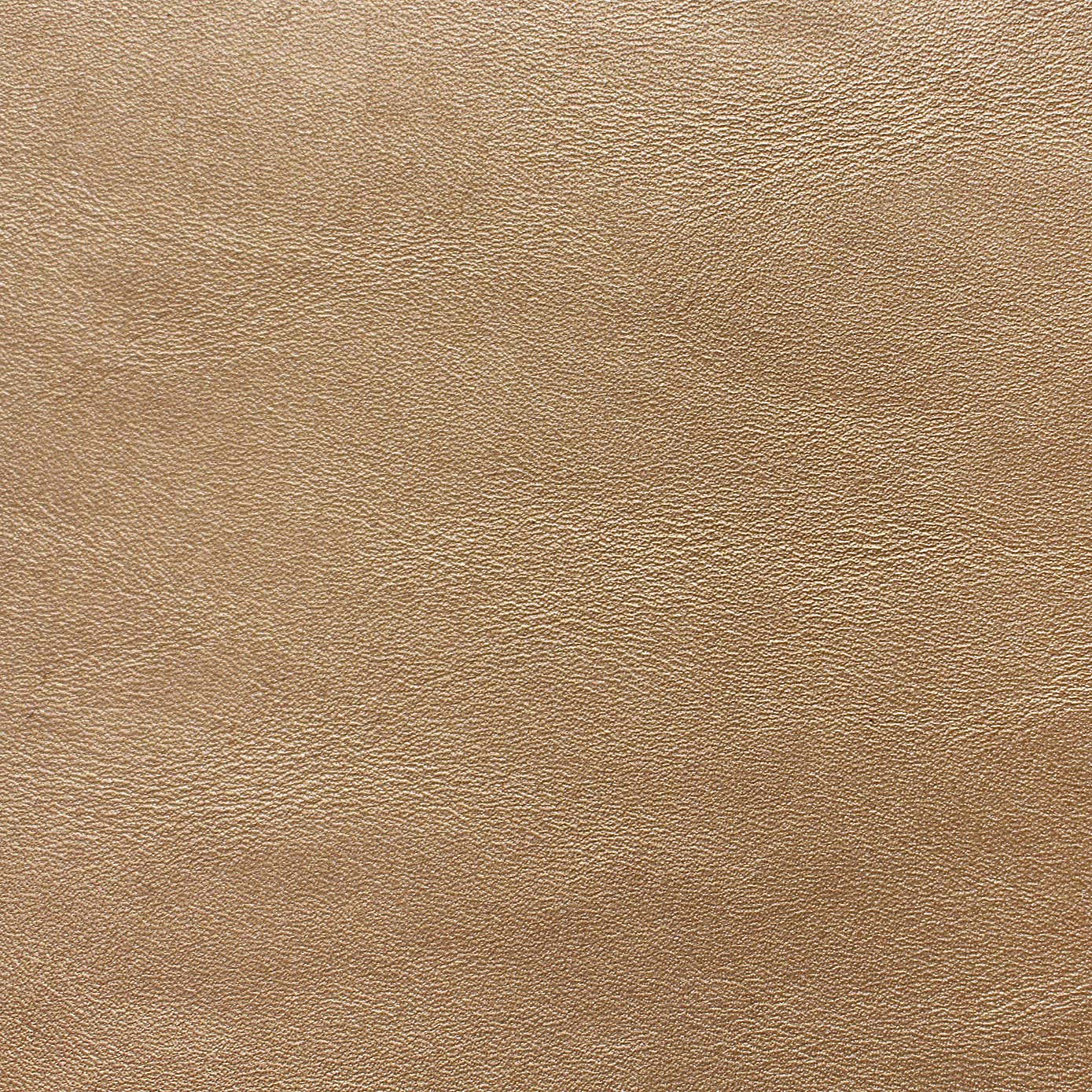 Recycled Faux Leather Champagne Placemat