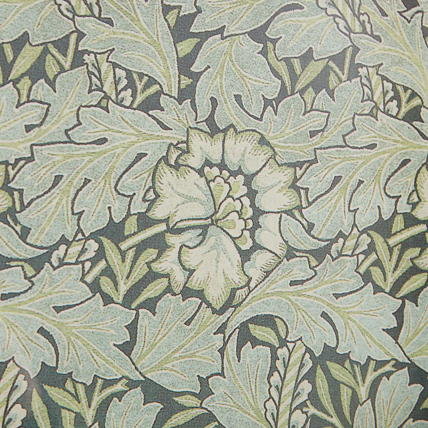 Anemone by William Morris Framed Print