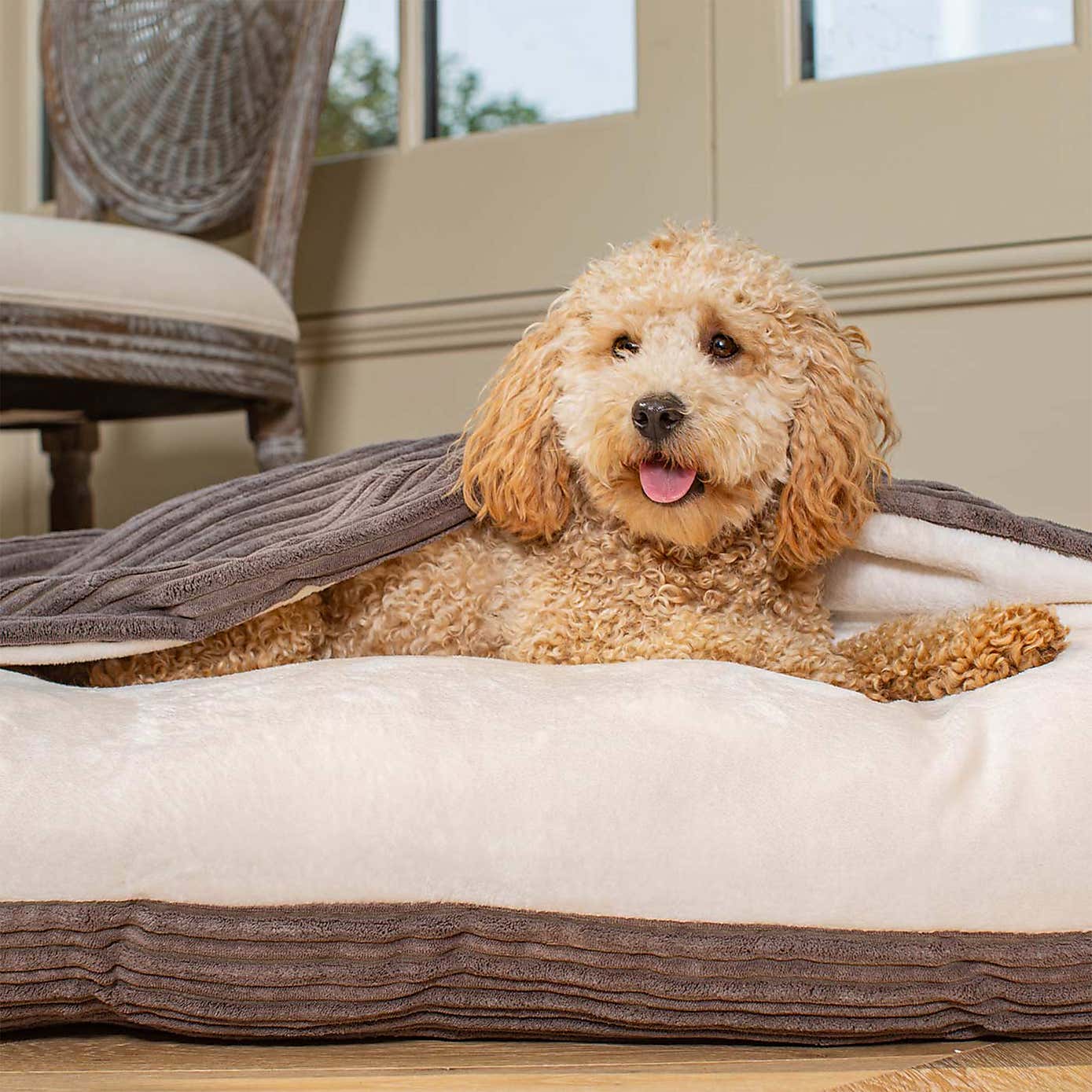 Lords and Labradors Essentials Sleepy Burrow Dog Bed