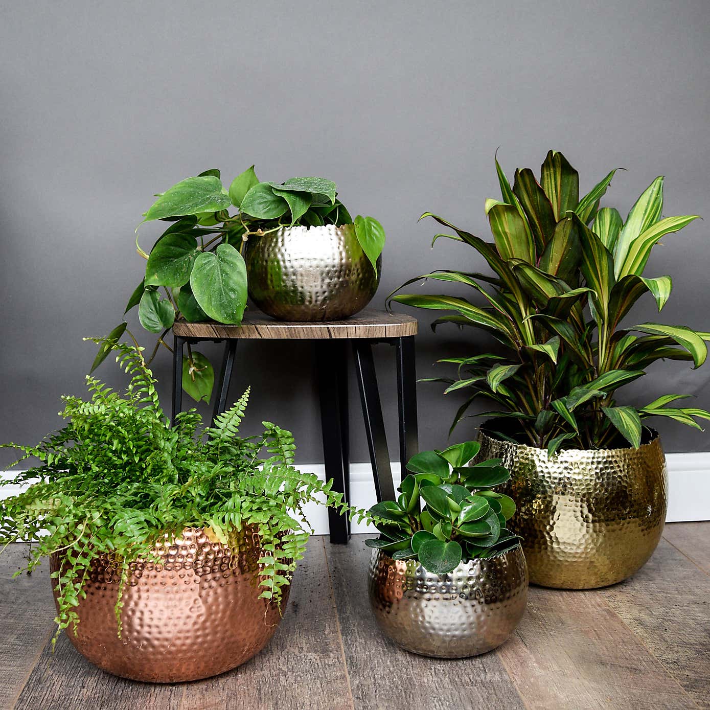 Hammered Bowl Plant Pot