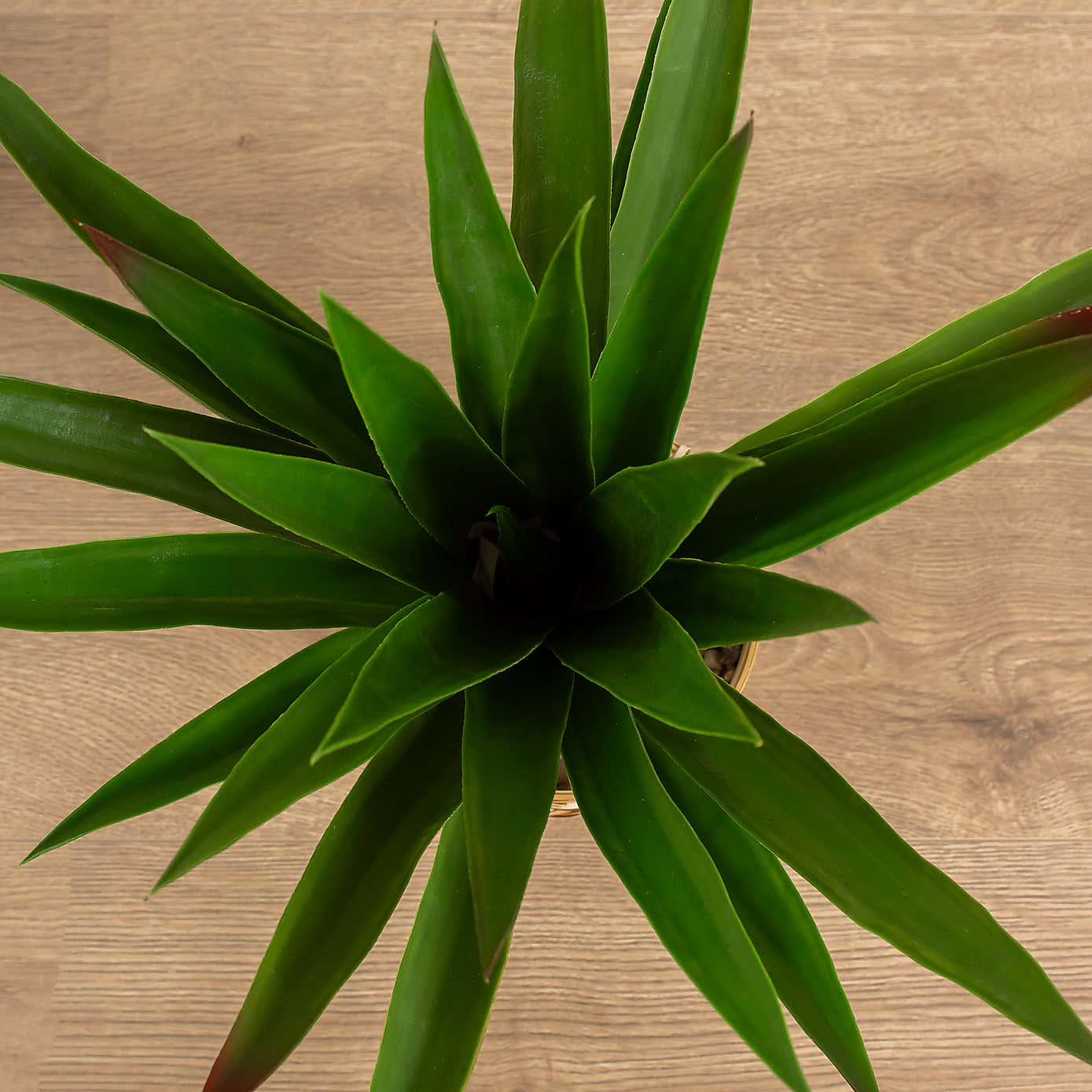 Artificial Spikey Plant in Bamboo Plant Pot
