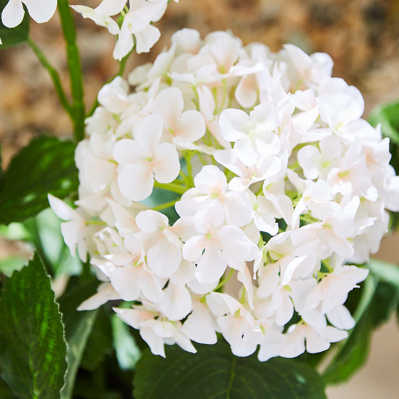 Artificial Hydrangea in Plant Pot