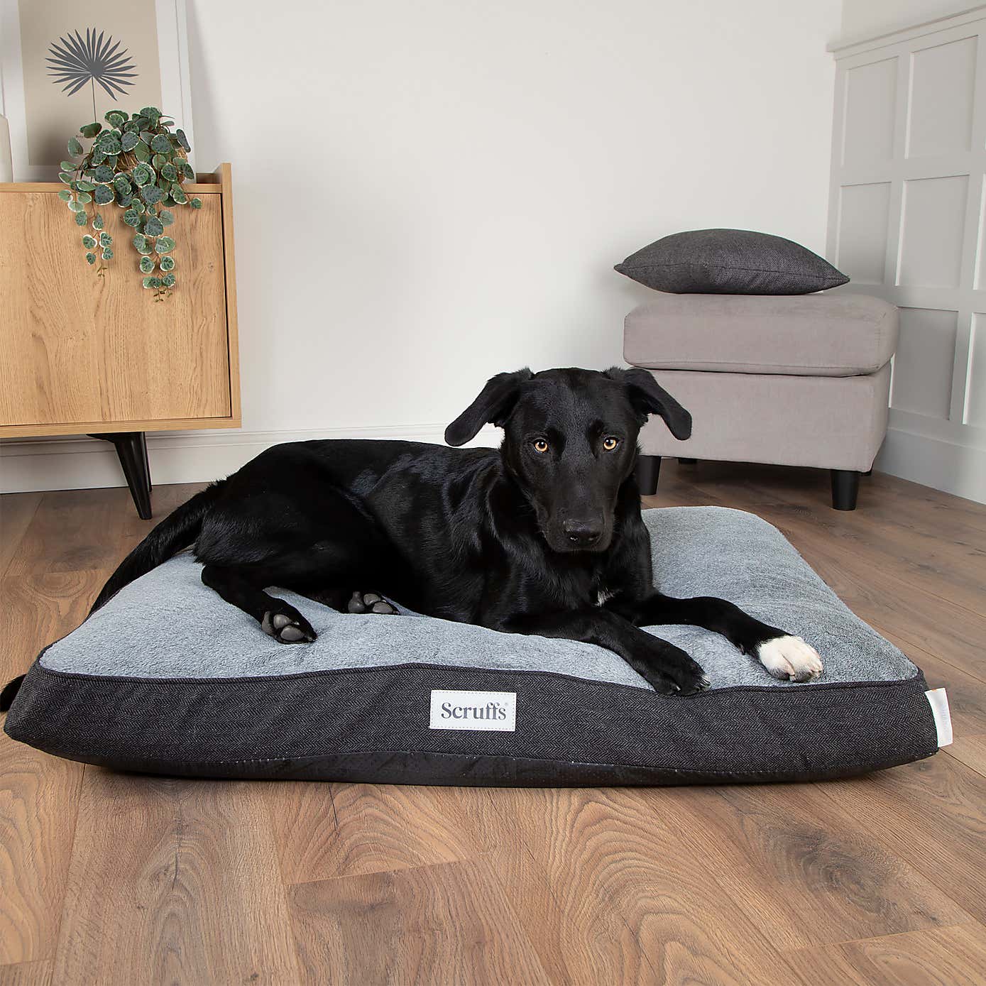 Scruffs Harvard Memory Foam Orthopaedic Mattress