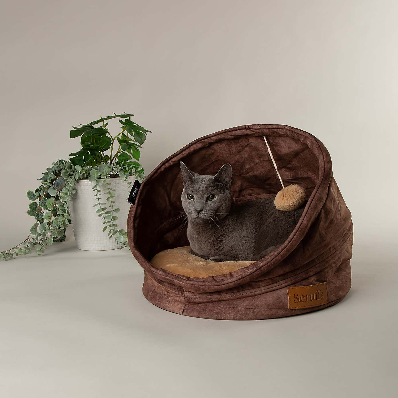 Scruffs Kensington Cat Bed