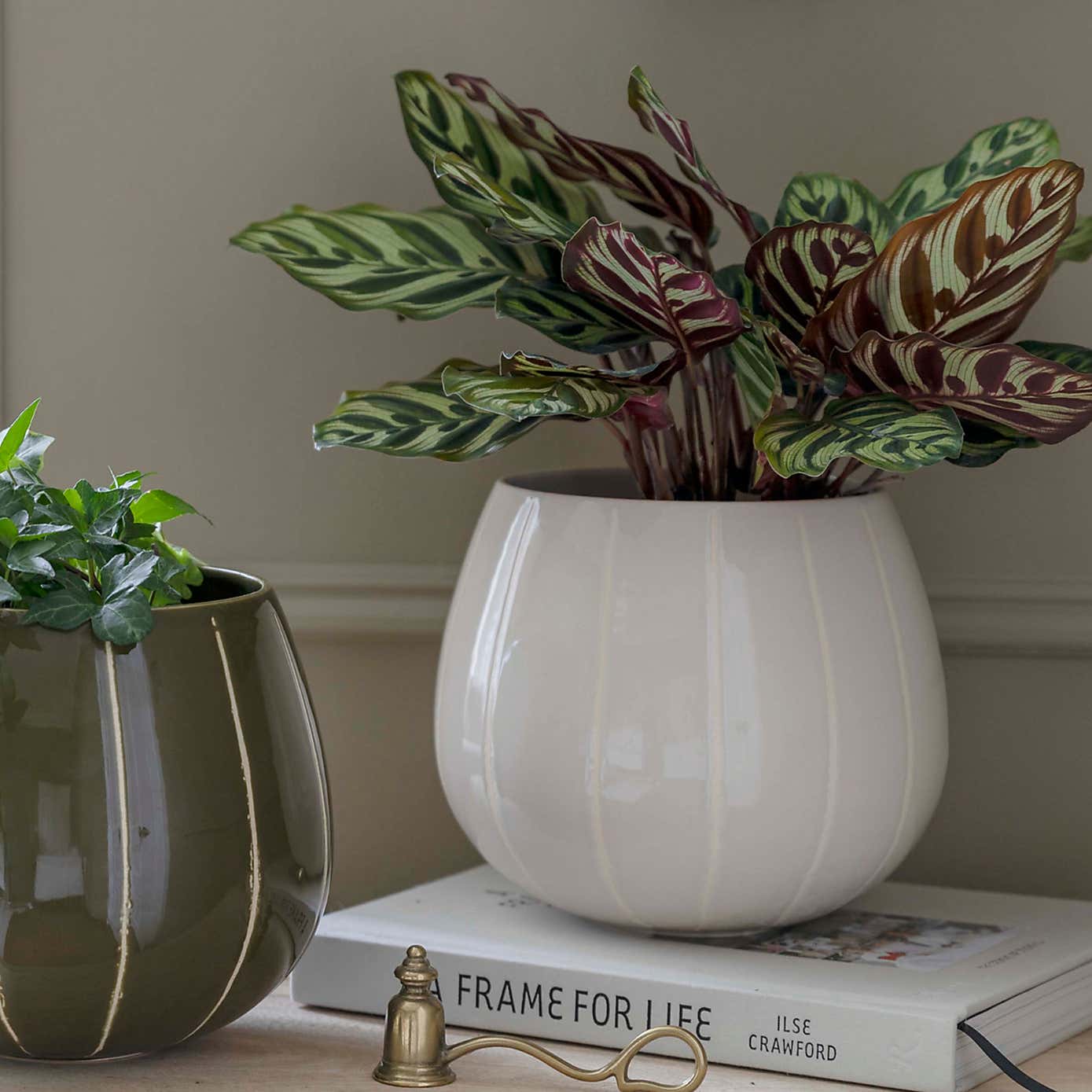 Nova Wax Relief Planter