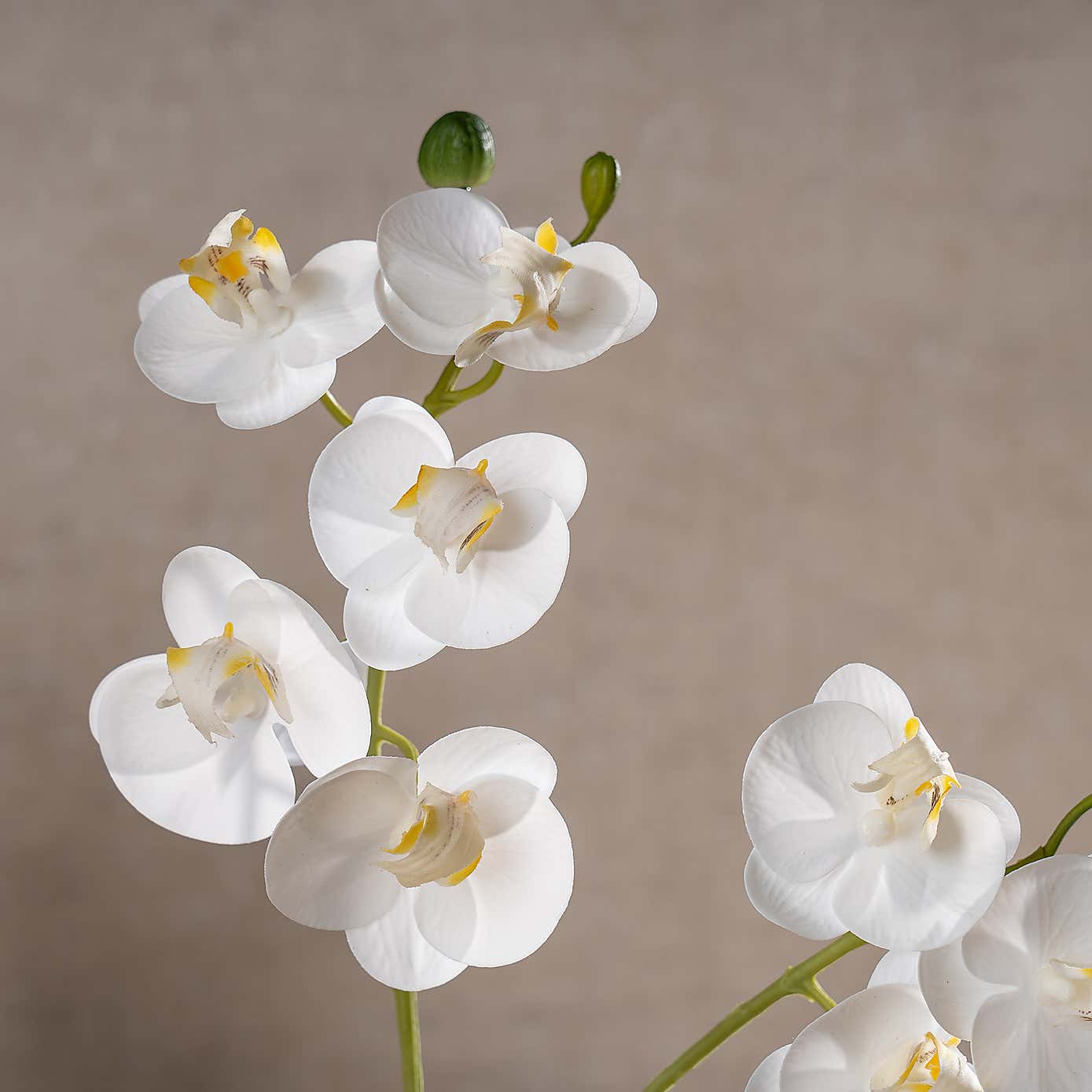 Artificial Real Touch Mini Phalaenopsis Orchid in Cement Pot