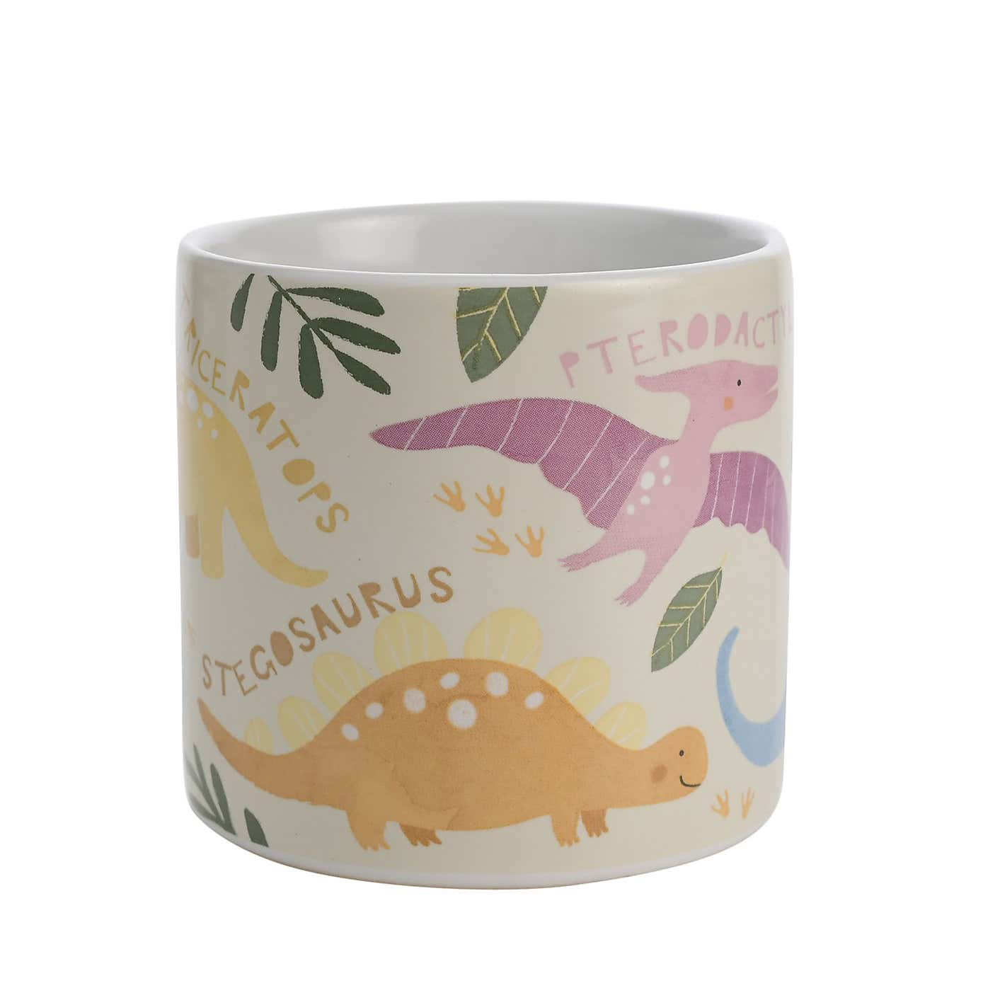Petit Cheri Dinosaur Names Mug