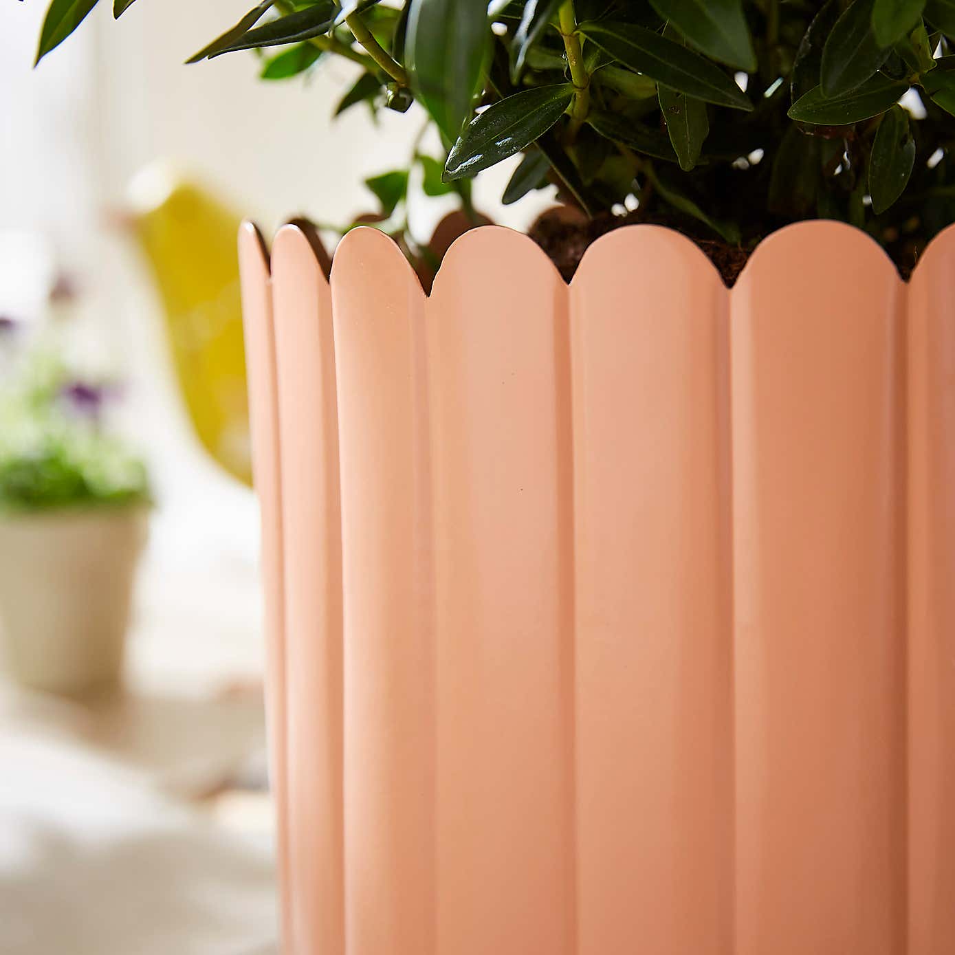 Bright Scalloped Metal Plant Pot