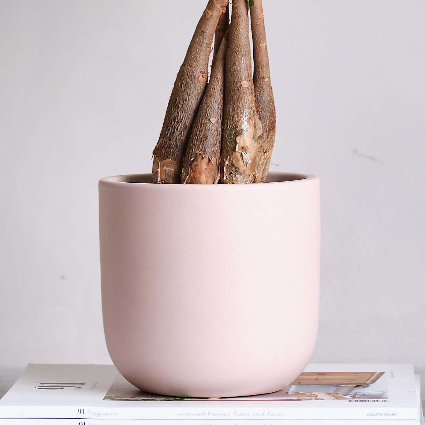 Beards and Daisies Earthenware Plant Pot