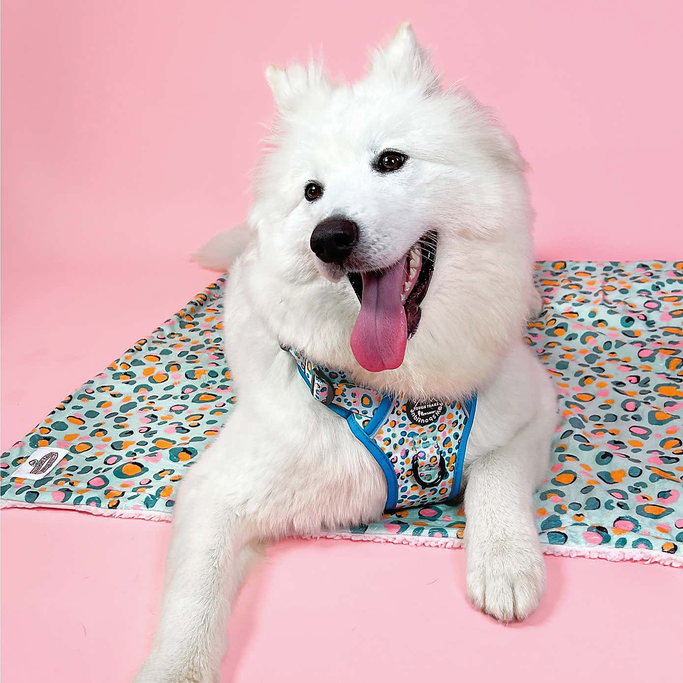 Blue Leopard Dog Blanket