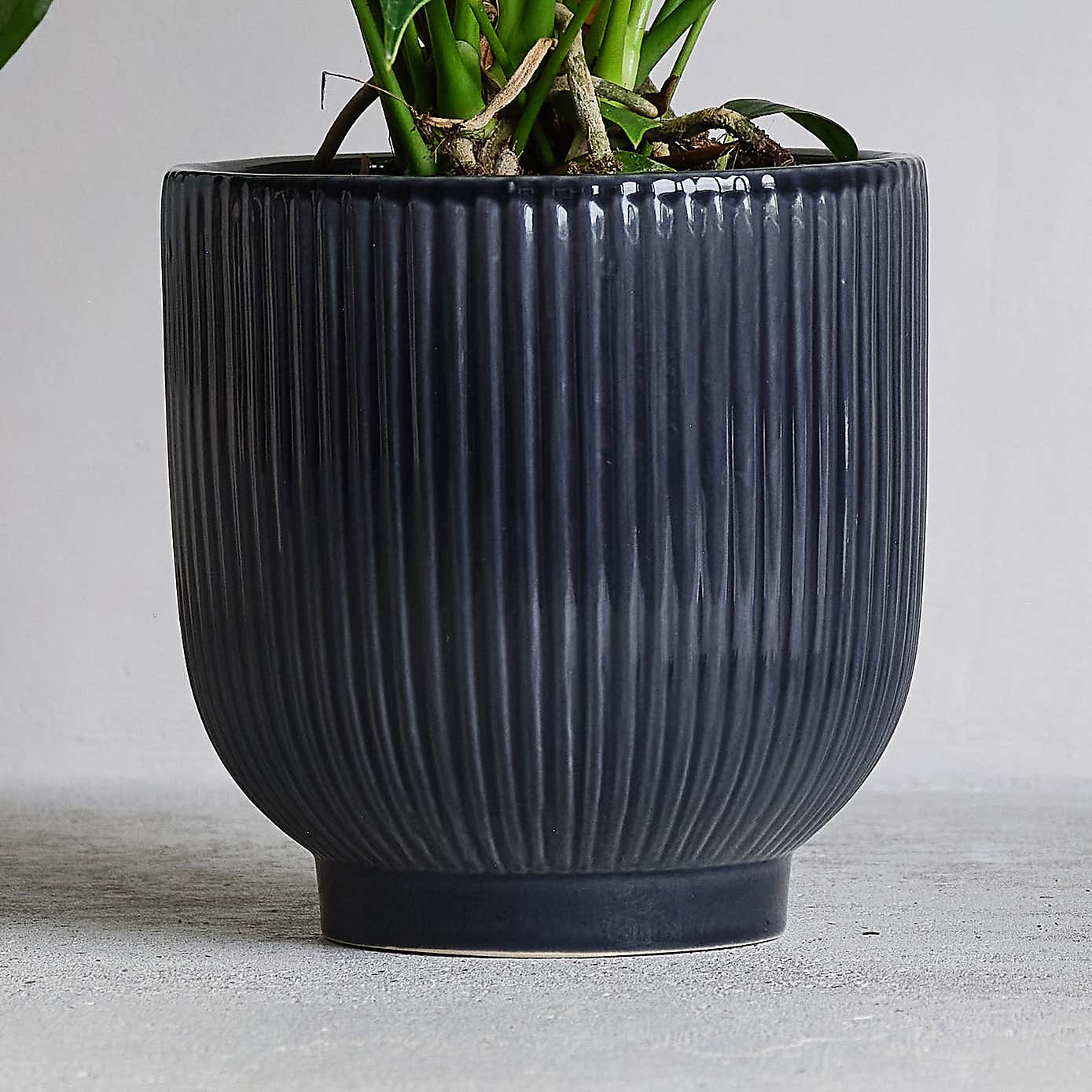 Peach Anthurium Potted House Plant and Candle Bundle