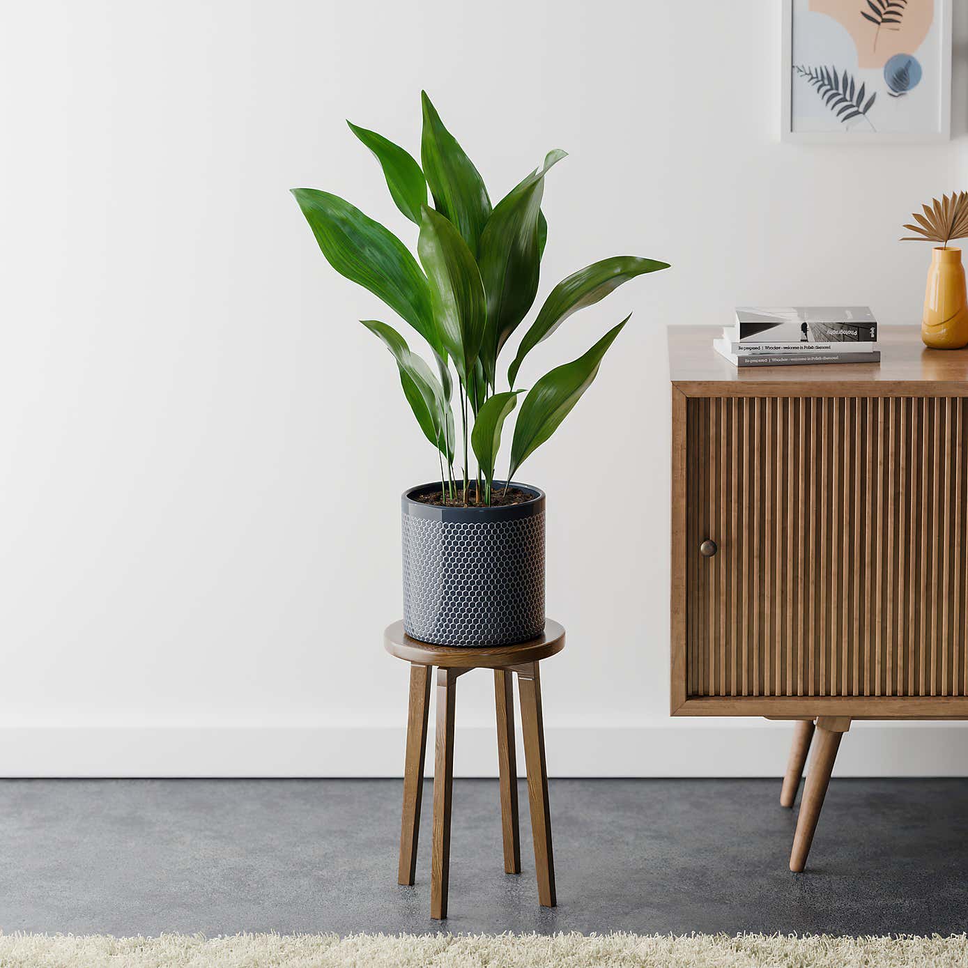 Beards & Daisies Cast Iron House Plant in Capri Pot