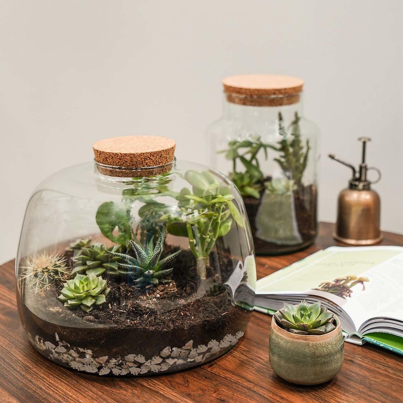Bottle Medium Terrarium Diy Kit