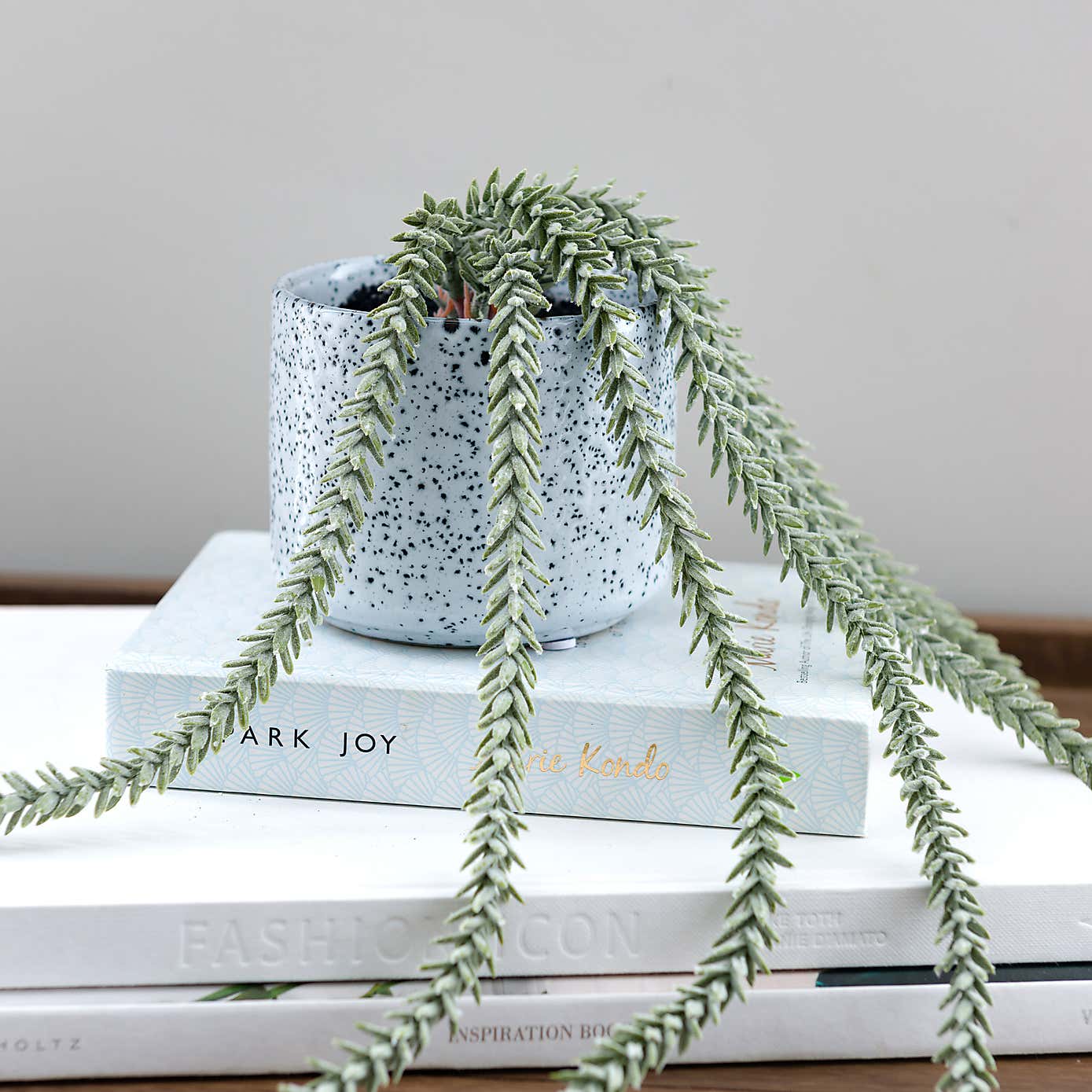 Artificial Trailing Sedum Burros Tail in Speckled Ceramic Plant Pot