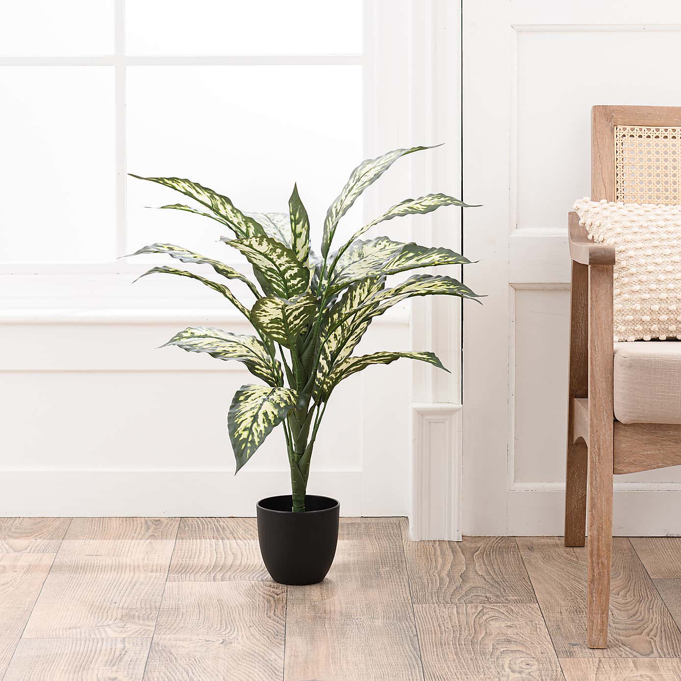 Artificial Dieffenbachia in Black Plant Pot