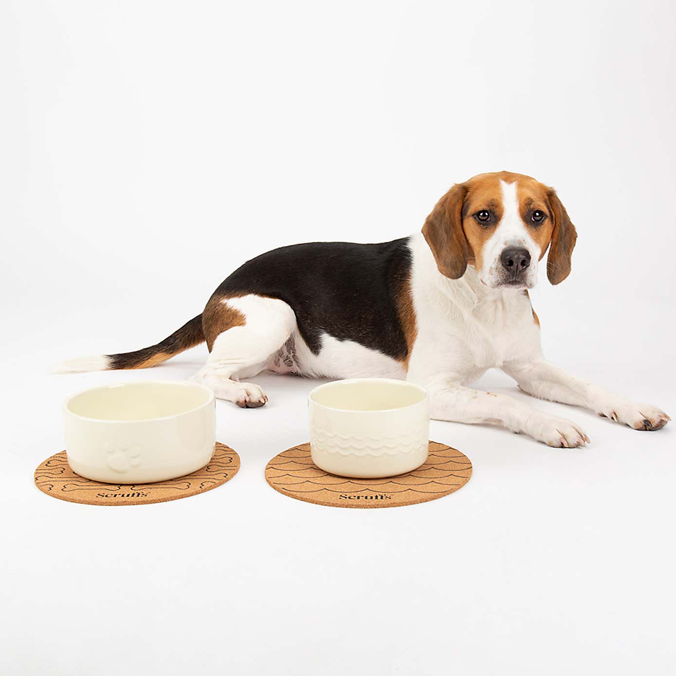 Scruffs Set of 2 Large Icon Dog Bowls