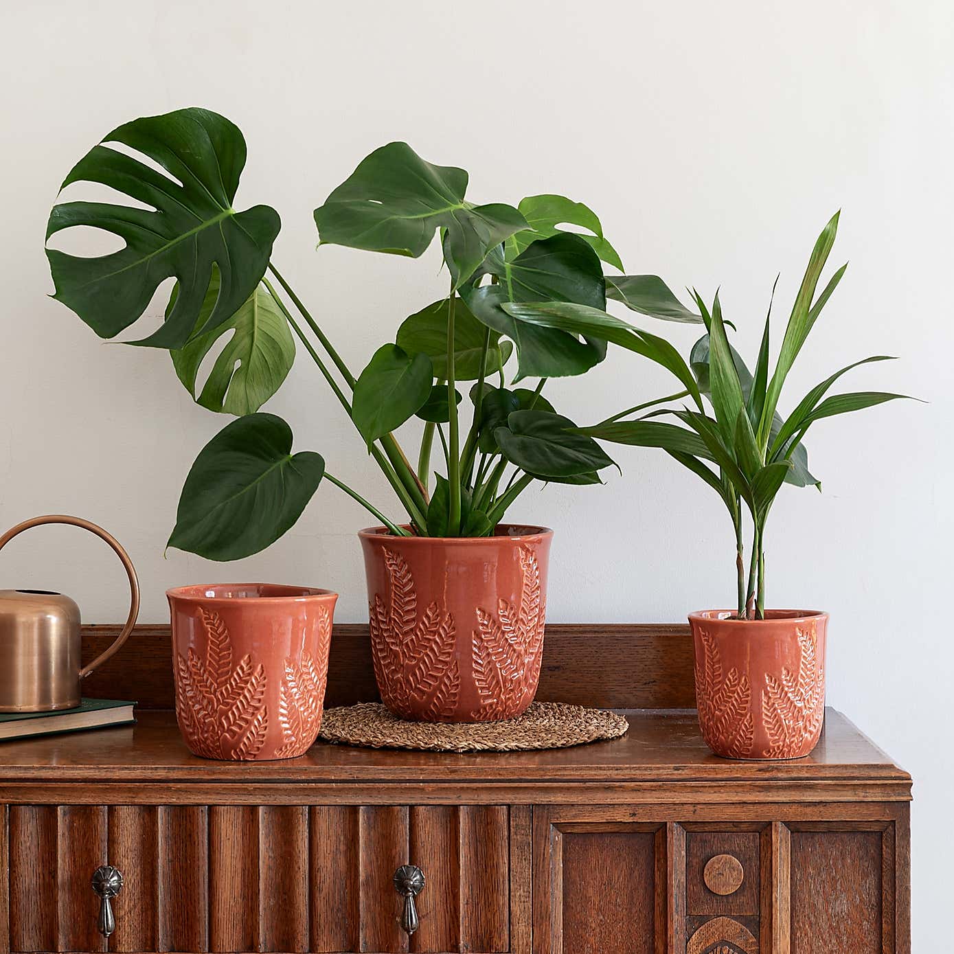 Kew Embossed Fern Planter