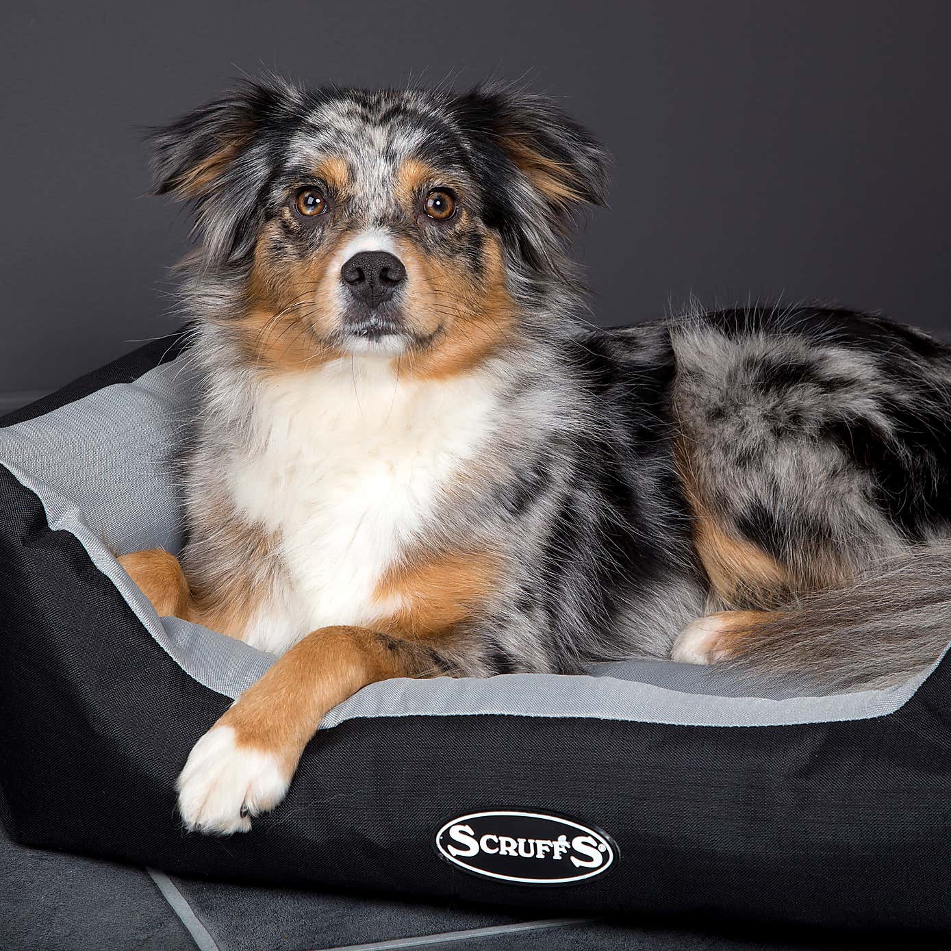 Scruffs Pet Expedition Box Bed