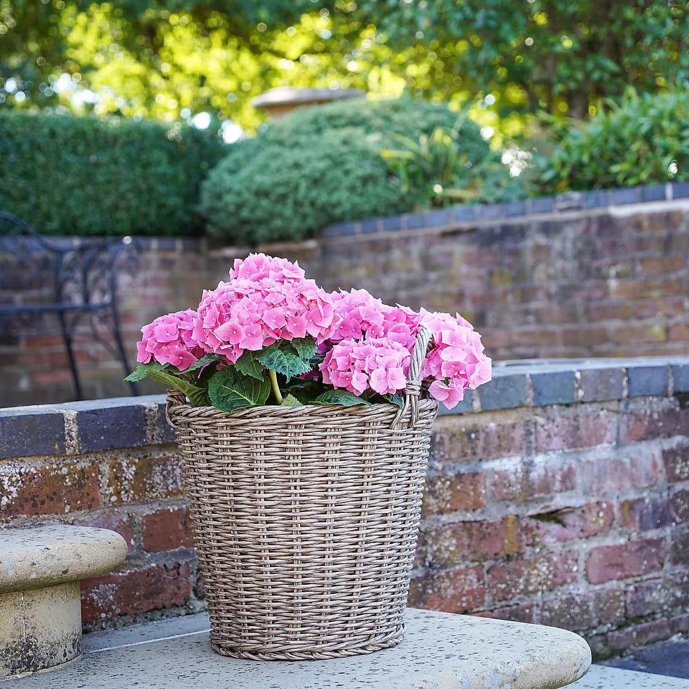 Polyrattan Lined Basket Planter