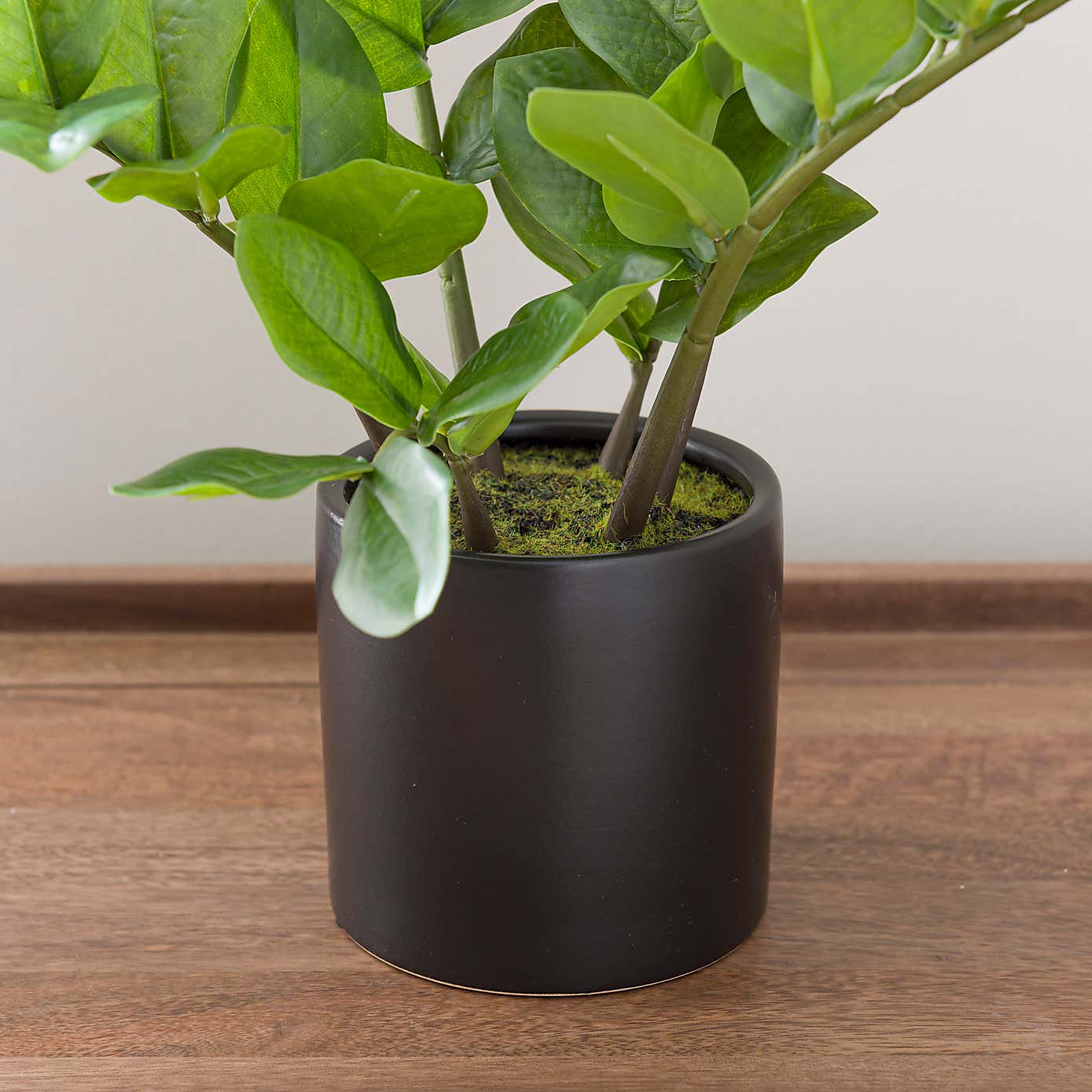 Artificial ZZ Plant in Black Ceramic Plant Pot
