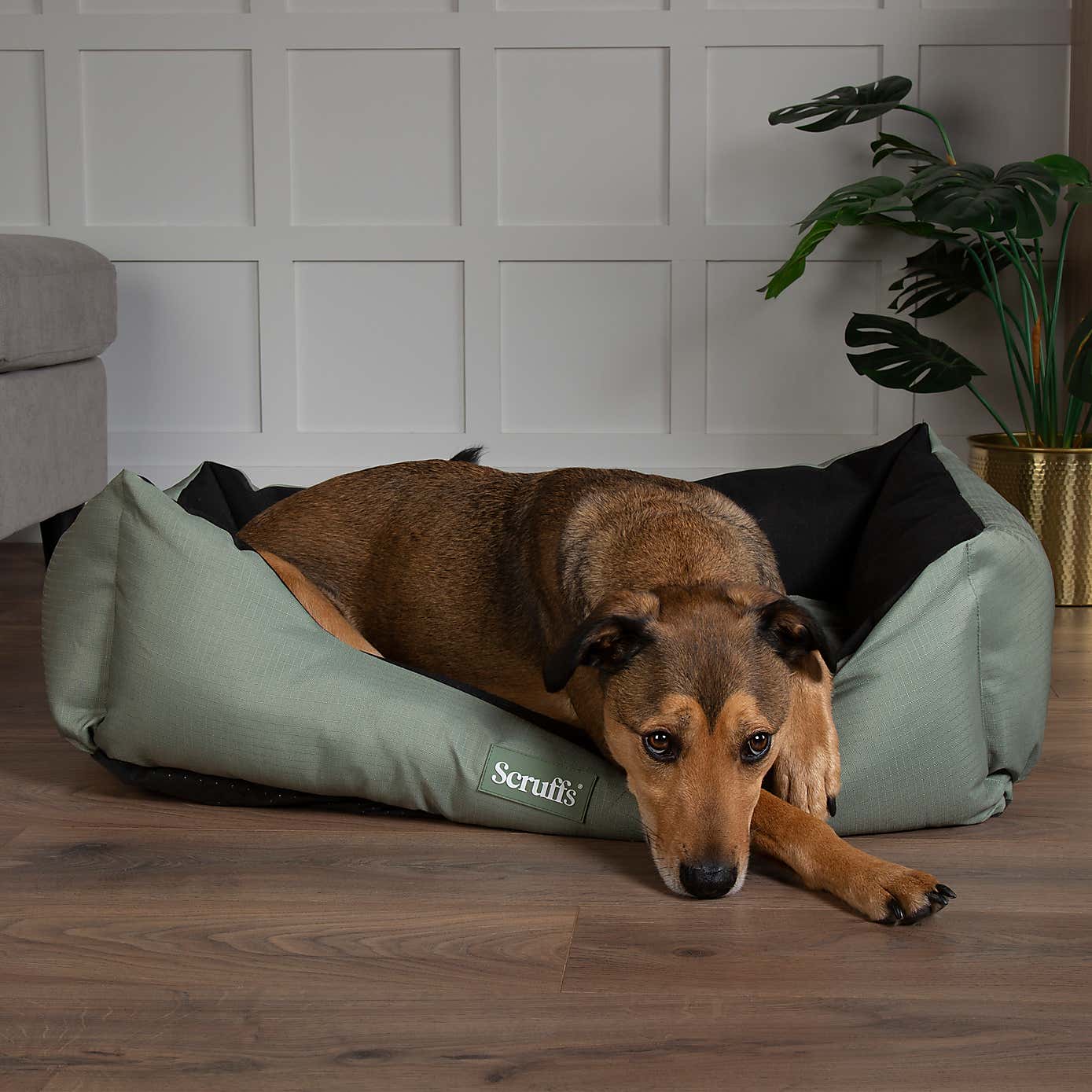 Scruffs Expedition Box Bed