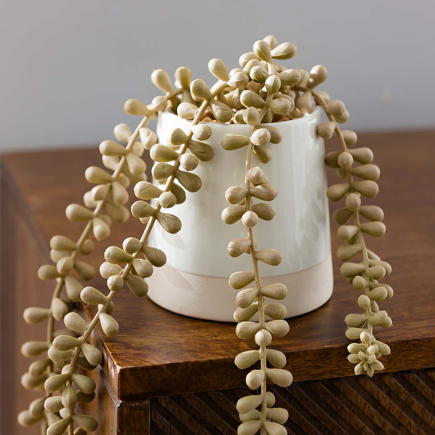 Artificial Trailing String of Pearls Plant in Textured Ceramic Plant Pot