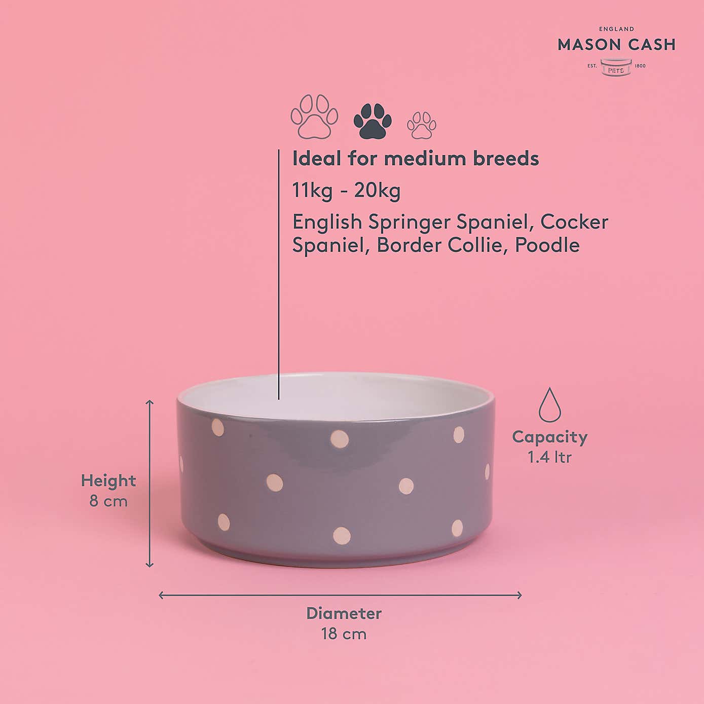 Mason Cash Set of 2 Spotty Pet Bowls
