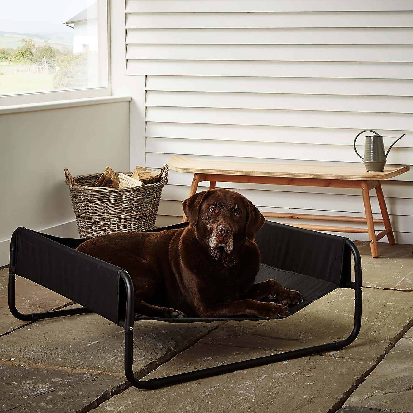 Bunty Black Waterproof Raised Dog Bed
