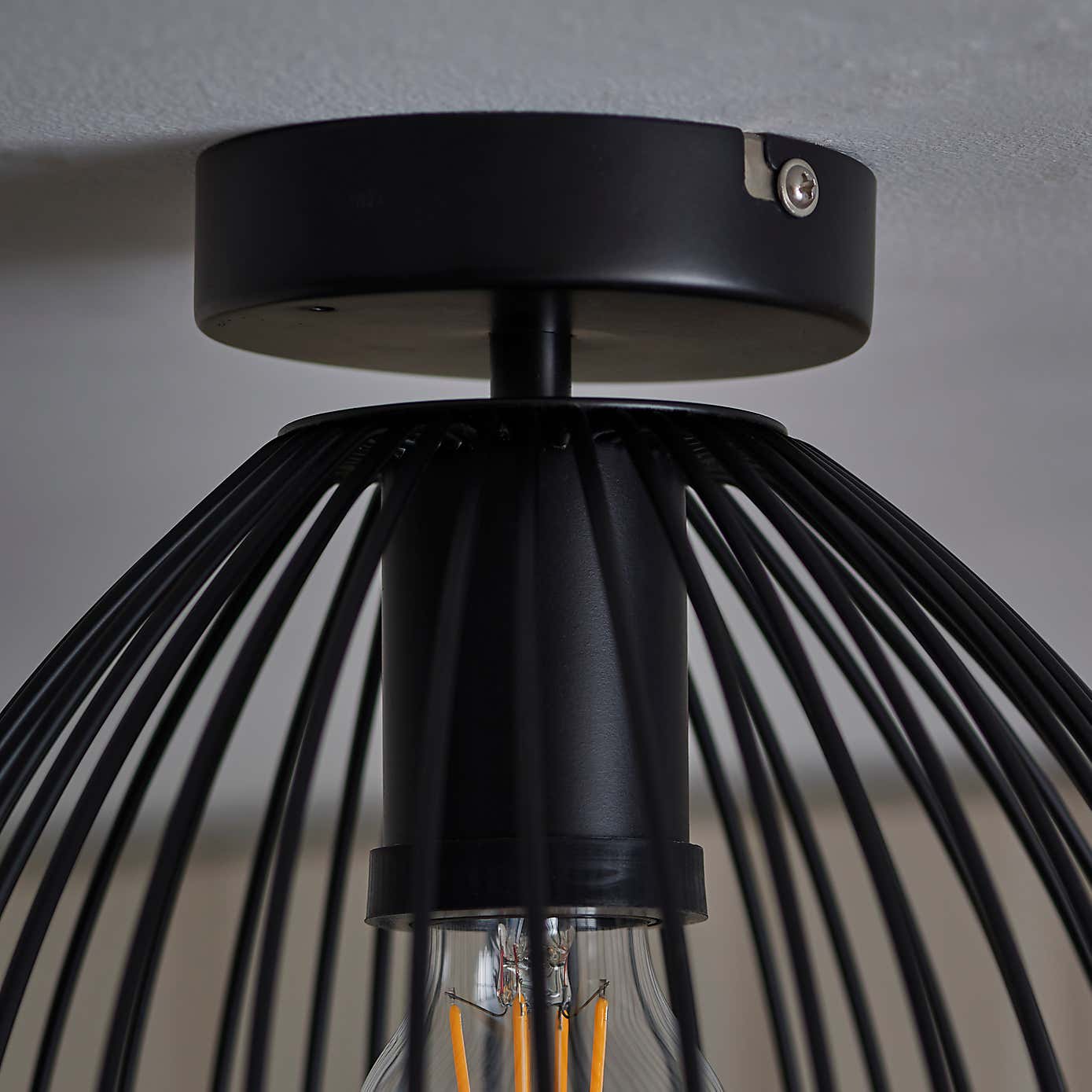 Jaula Indoor Outdoor 1 Light Flush Ceiling Fitting