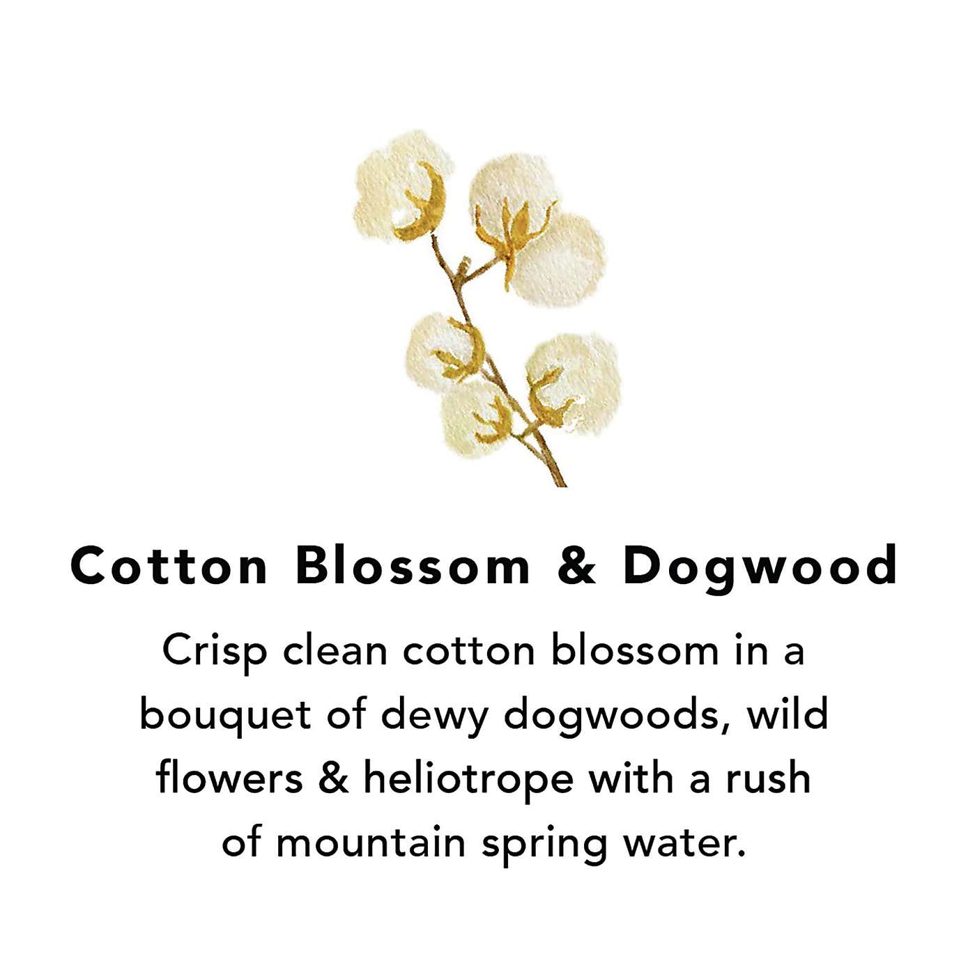 Northern Lights Cotton Blossom and Dogwood Pack of 6 Votive Candles