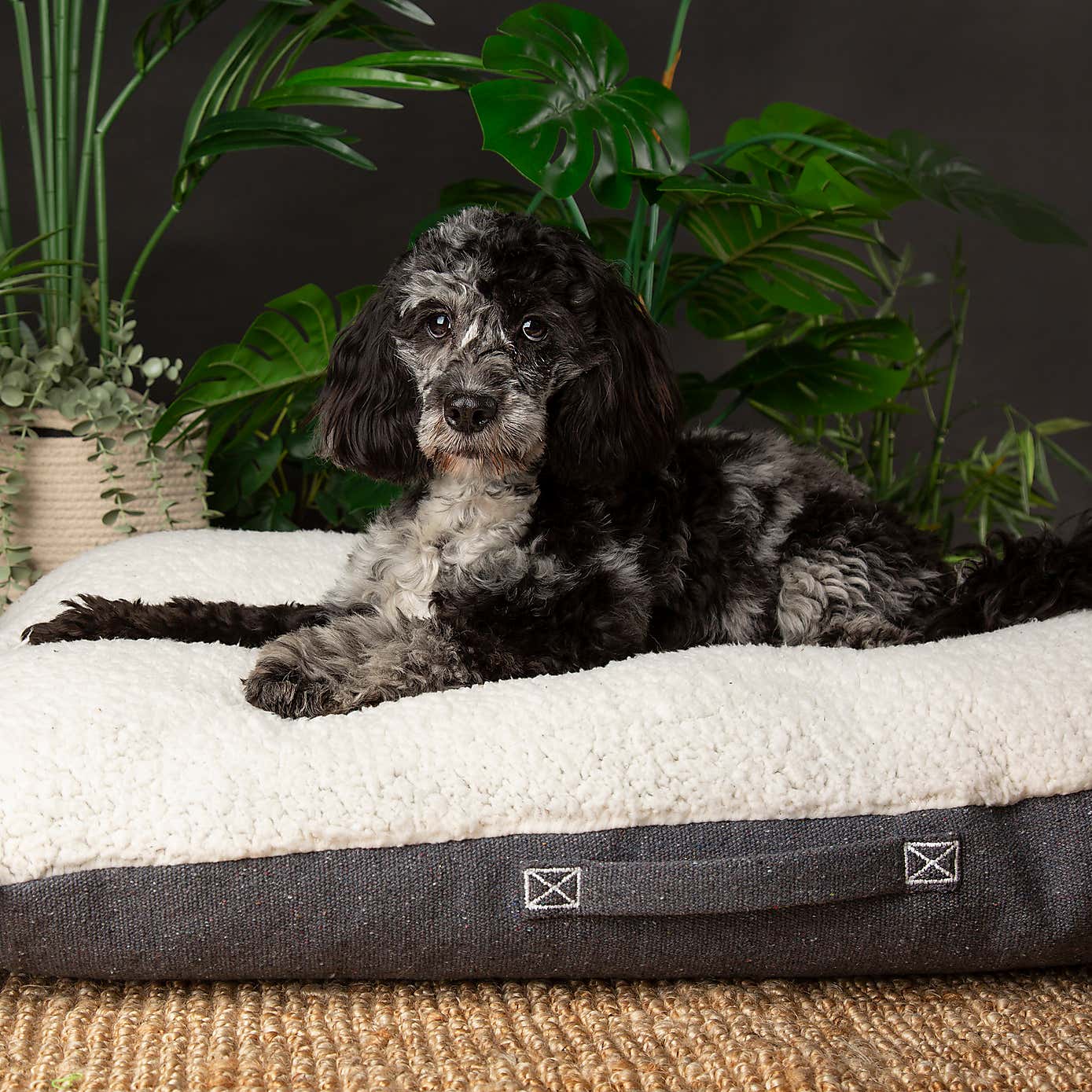 Scruffs 100% Recycled Eden Dog Pillow