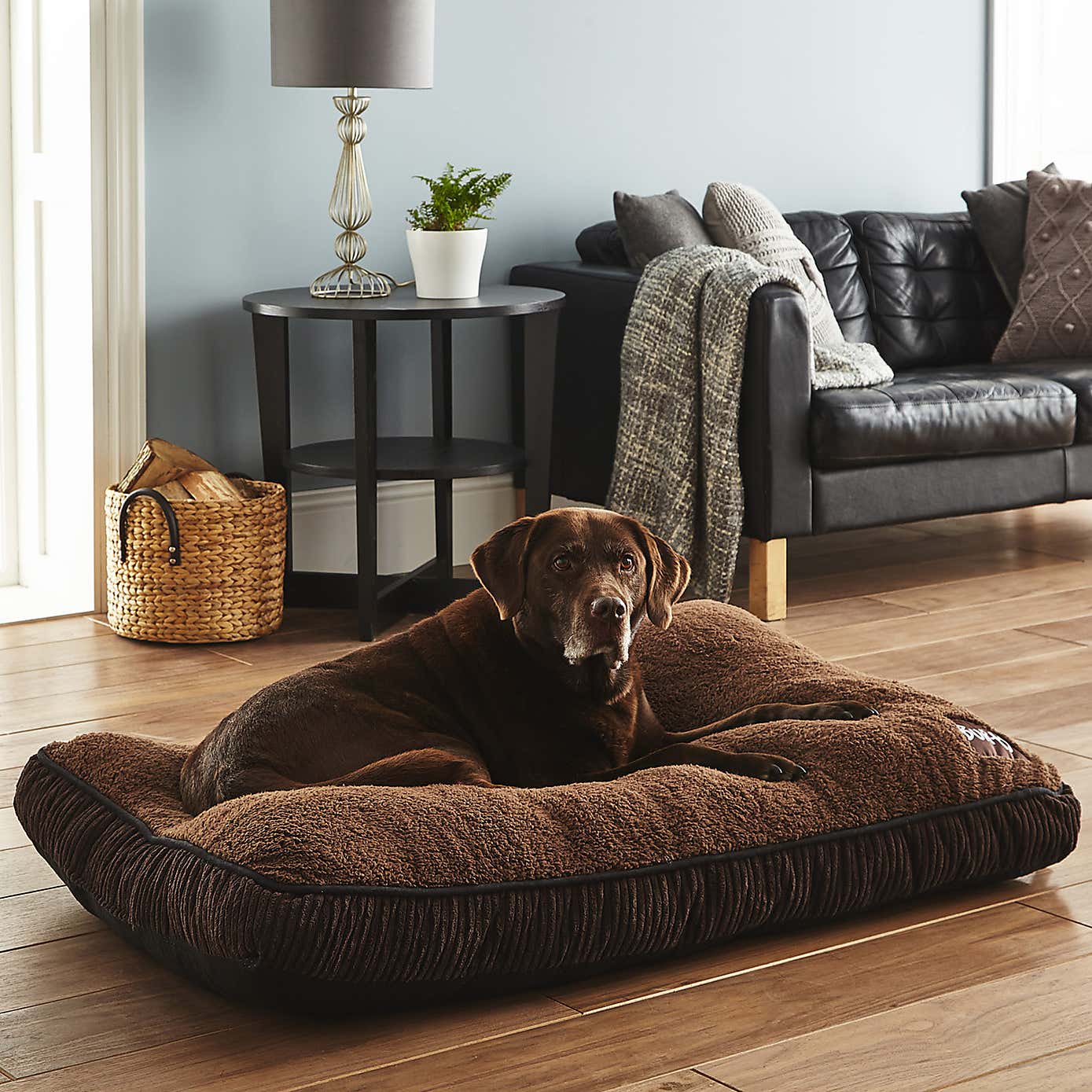 Bunty Snooze Dog Bed