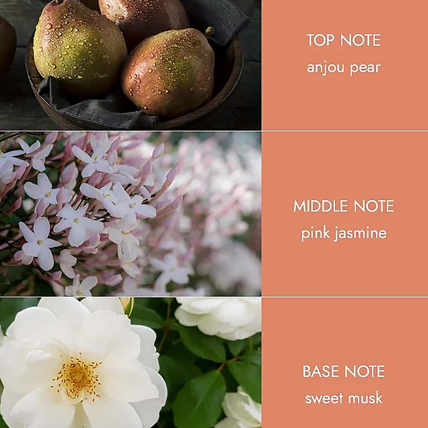 Heart & Home Angel Touch Mini Carousel Candle