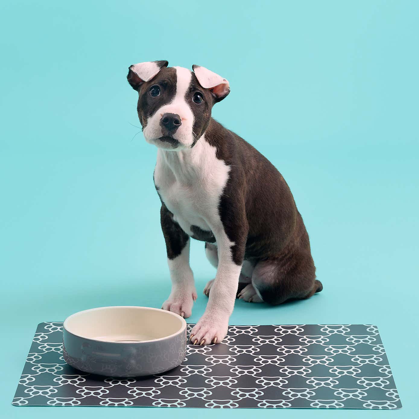 Mason Cash Set of 2 Bone Dog Bowls