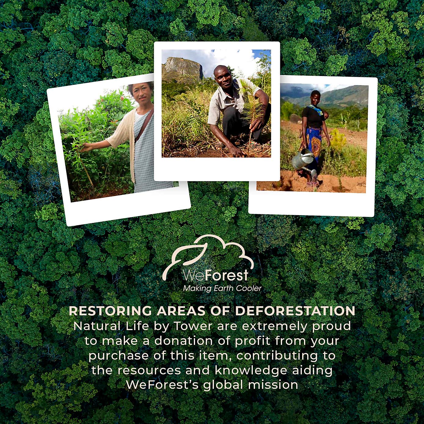 Natural Life Set of 2 Floor Cleaning Brushes