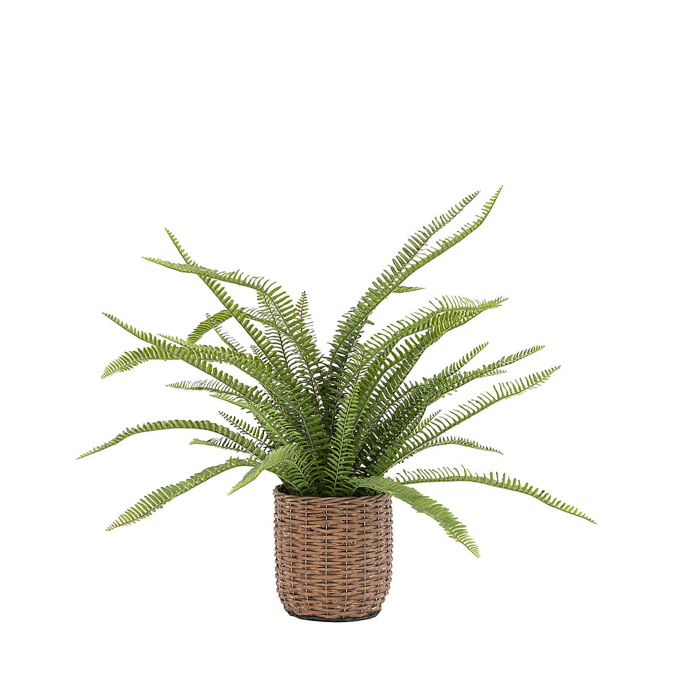 Artificial Fern in Wicker Pot