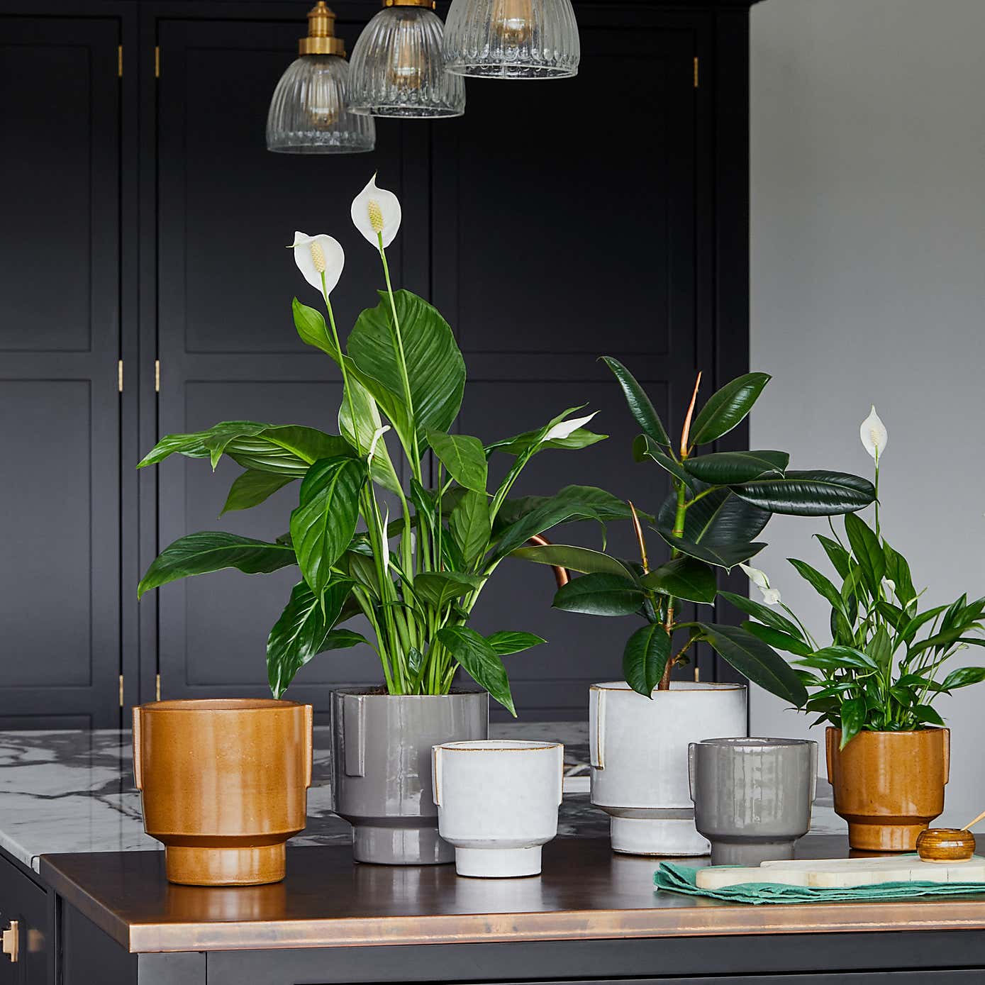 Aries Glazed Handles Planter