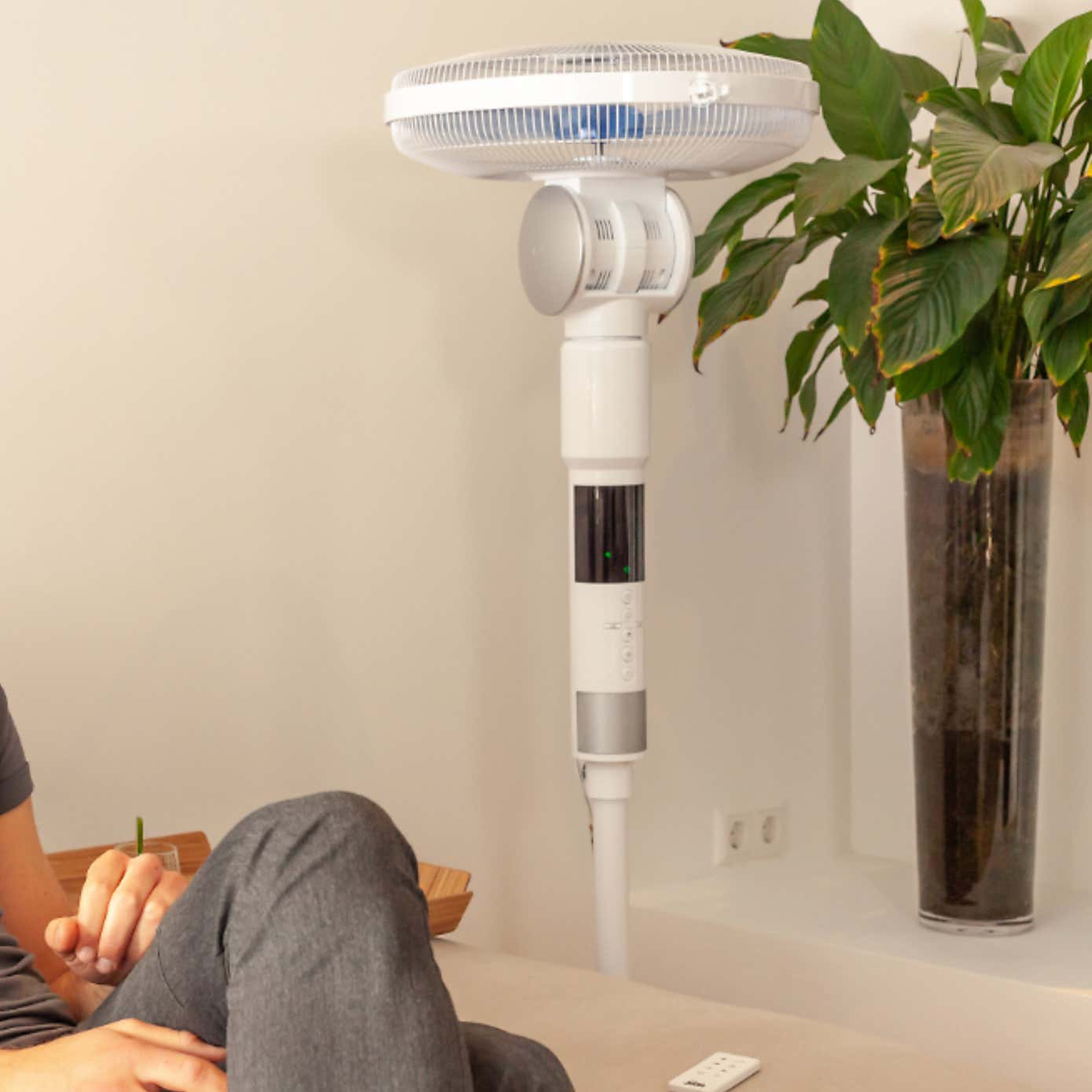 Solis Breeze 360 Stand Fan