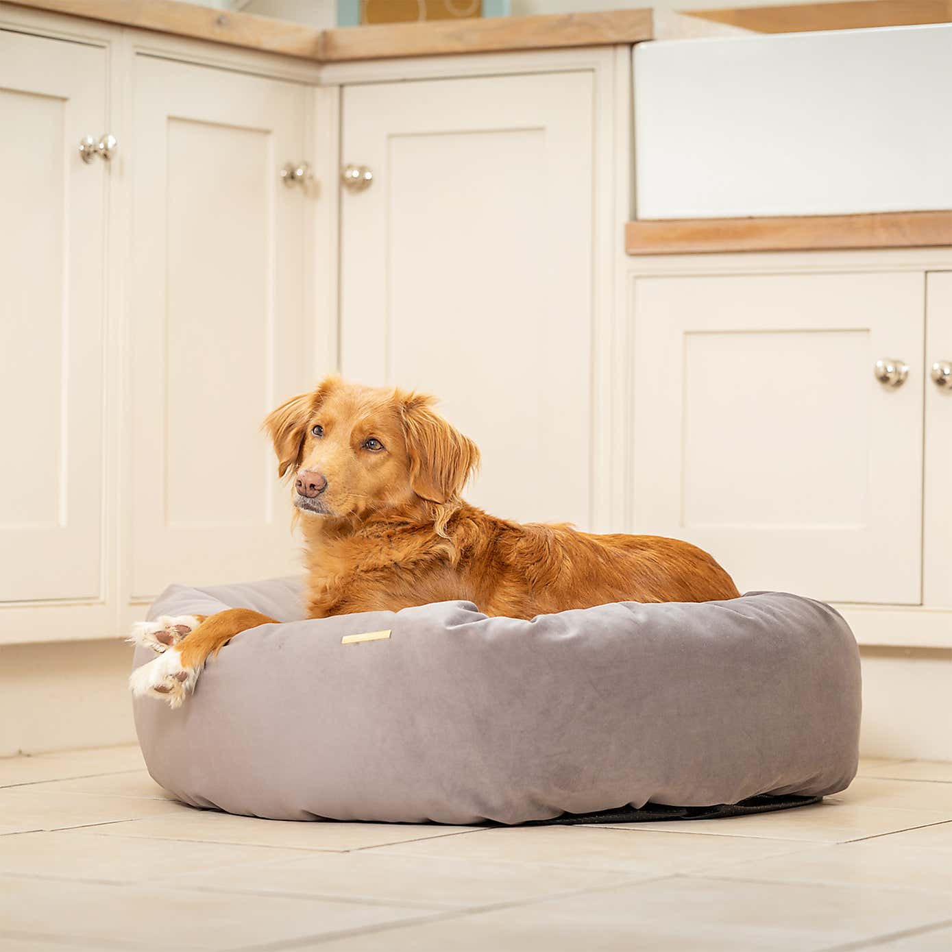 Lords and Labradors Velvet Donut Dog Bed
