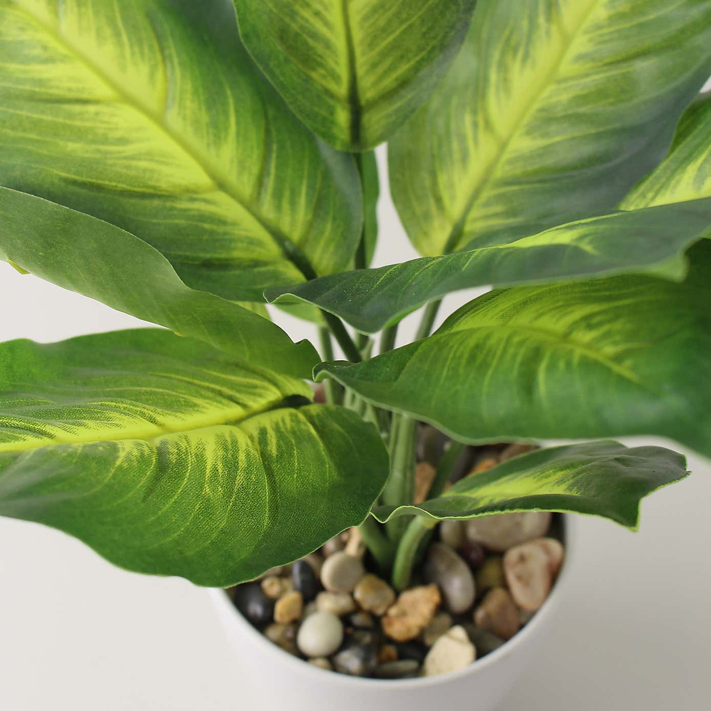 Artificial Dieffenbachia in White Plant Pot